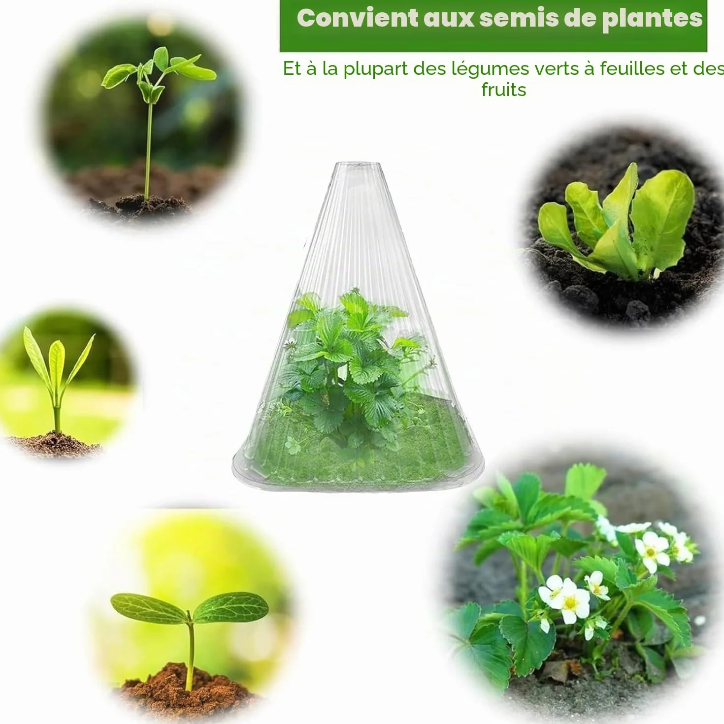 KAHEIGN 20 Pièces Cloches pour Plantes de Jardin 22CM x 19CM Plastique Protection Contre Gel