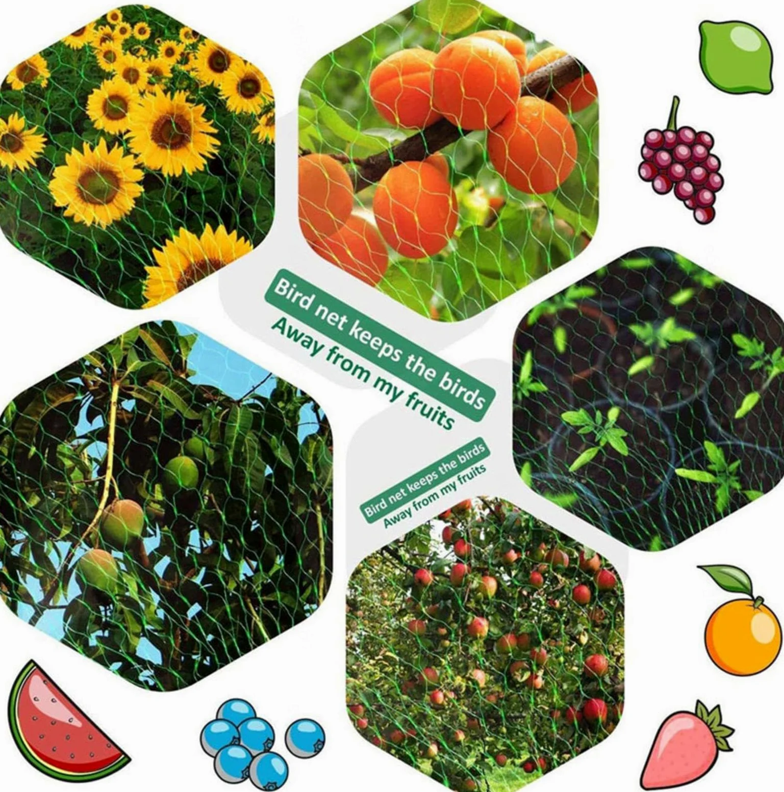 Filet Oiseaux Arbre Filets pour Jardin Protégez Arbres Fruitiers Protéger Les Plantes, Les Fleurs et Les Légumes,4x10m