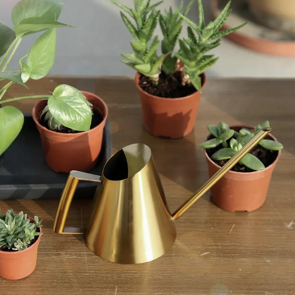 Arrosoirs Arrosoir en Acier Inoxydable, Petit Pot avec poignée for Plantes à Fleurs, Outil de Douche de Jardin