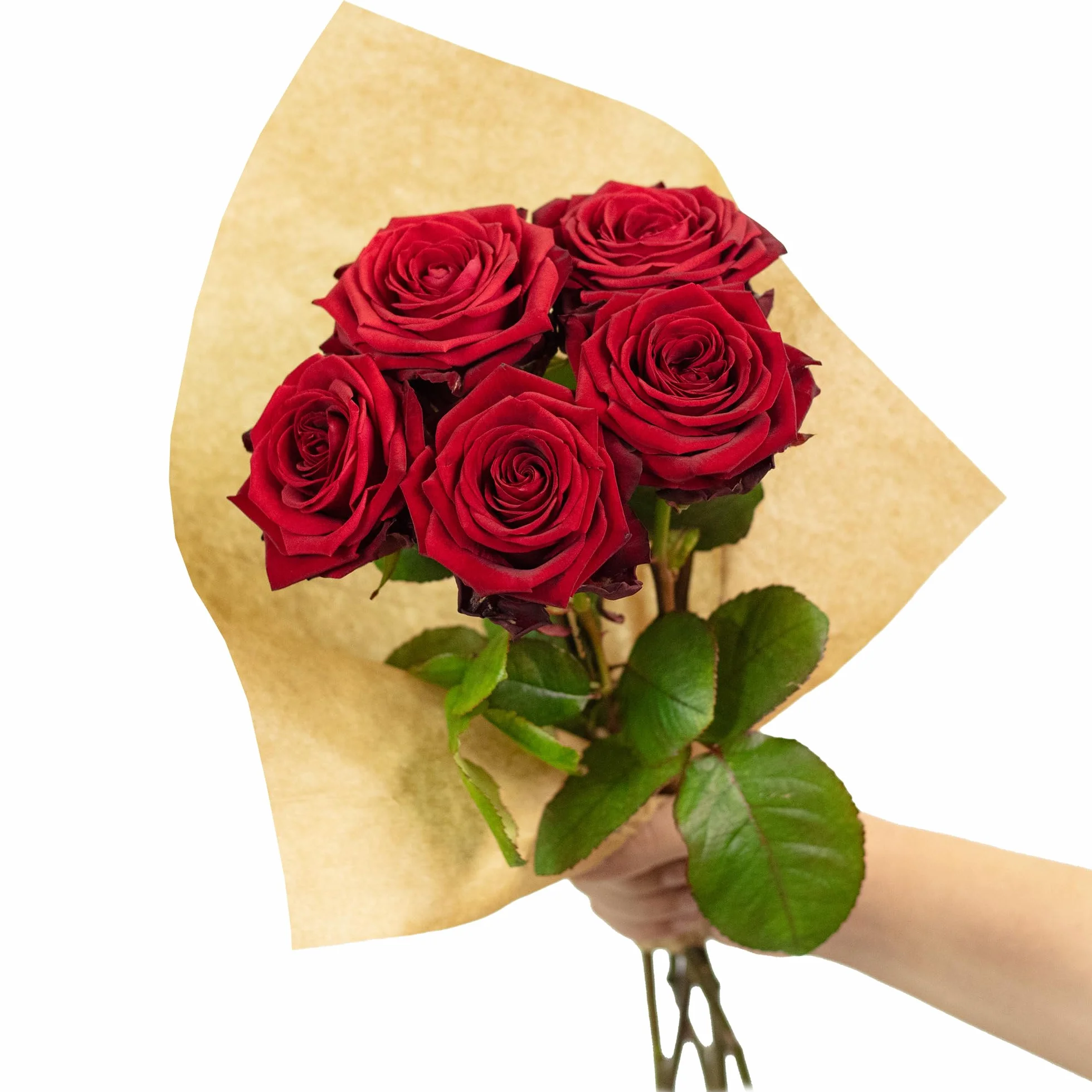 Bouquet de roses fraîches Red Passion 5 tiges 50 cm