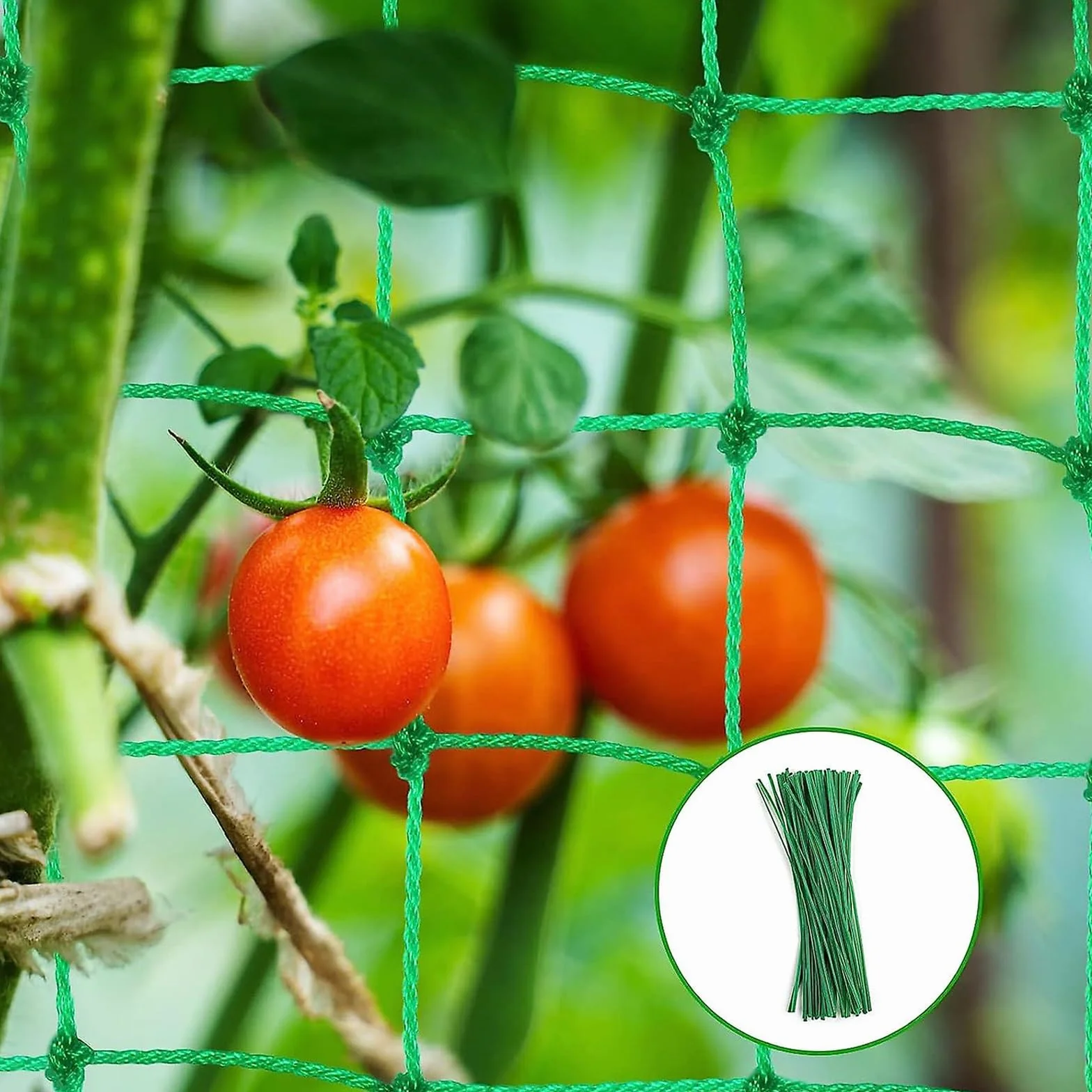 Filet pour Plantes grimpantes 1.8x3.6m, Grille pour Concombres Tomates Jardins Serres