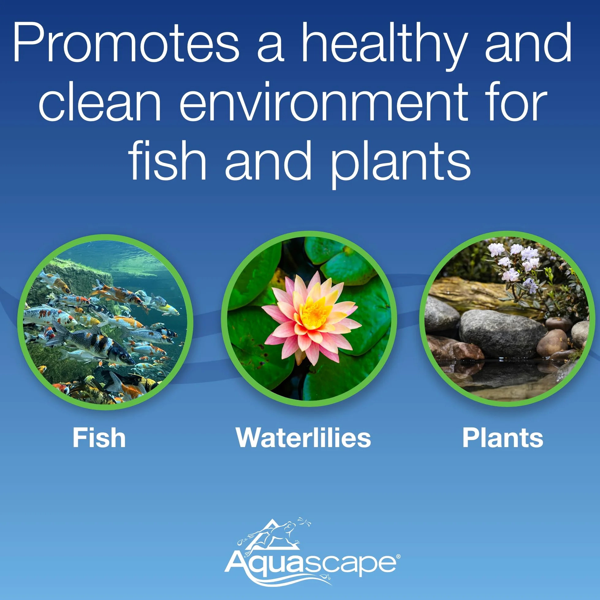 Aquascape 75000 air du Bassin 2 (kit d'aération à Double Sortie)