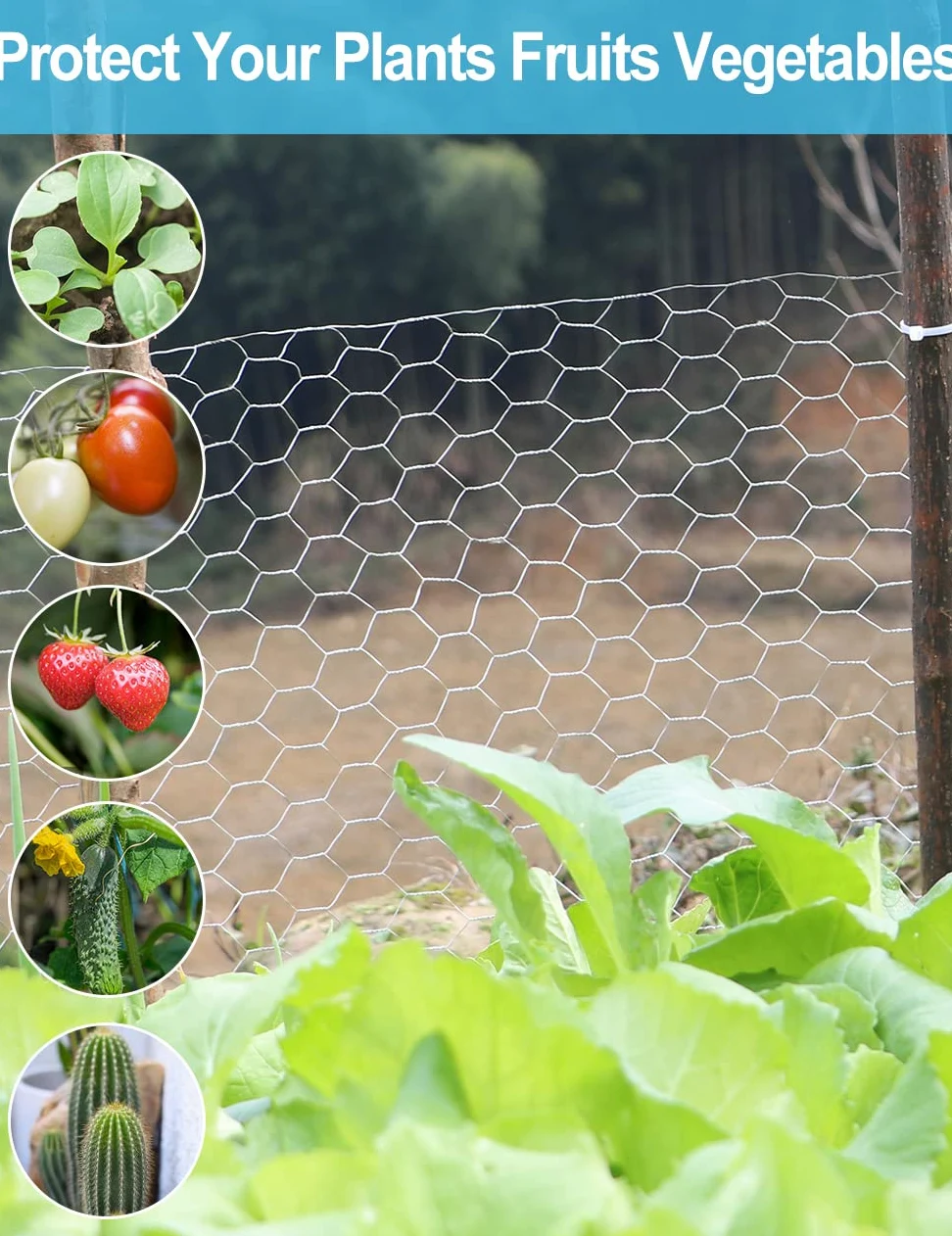 TOYPOPOR Grillage à Poule en métal galvanisé à Maillage Hexagonal, pour clôture de Jardin, Animaux domestiques, Lapins, Poulets - 40 cm x 25 m