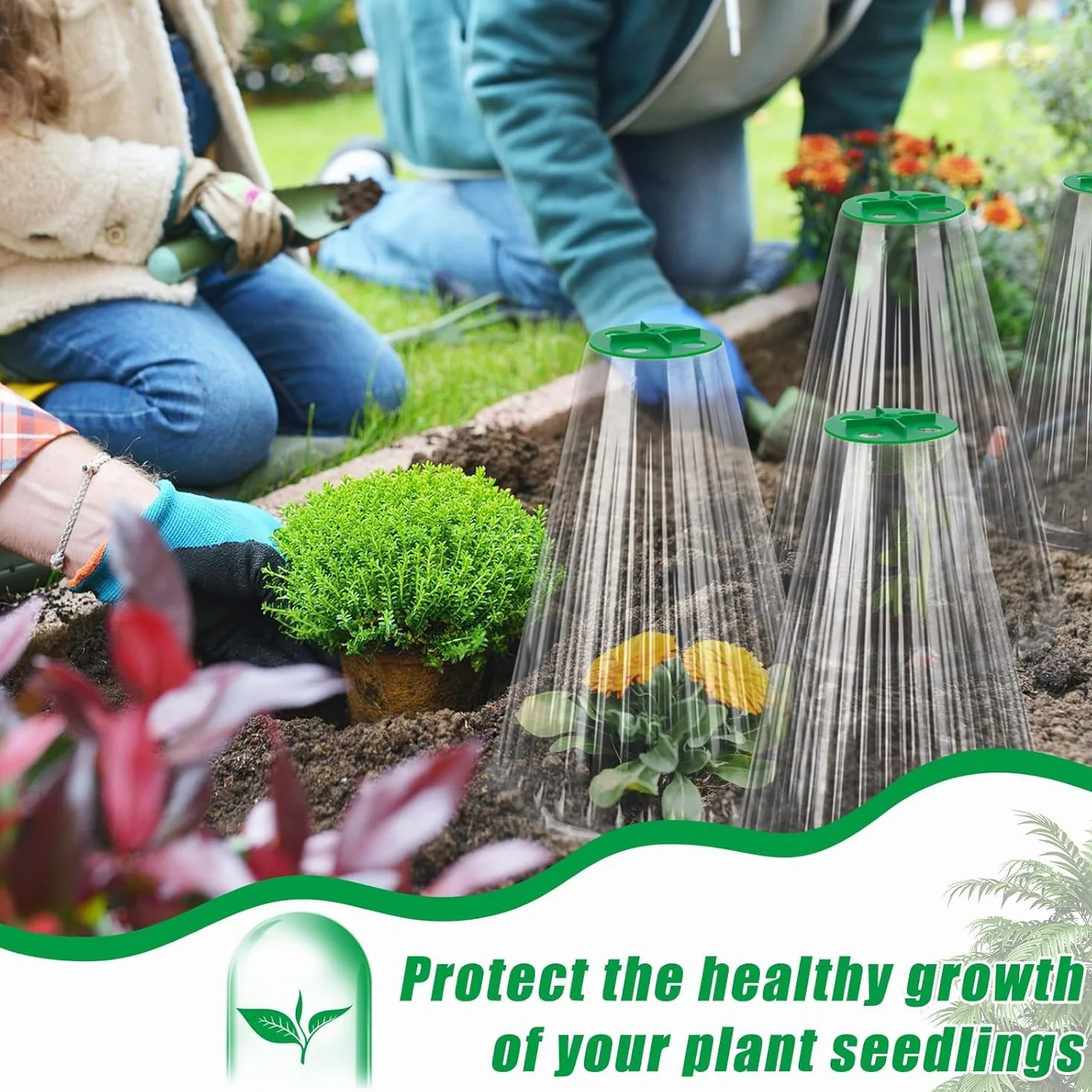 Cloche Jardin Potager Lot de 30, Protection Réutilisable pour Plantes avec Couvercle de Ventilation Rotatif, 24 x 20,5 cm Transparent