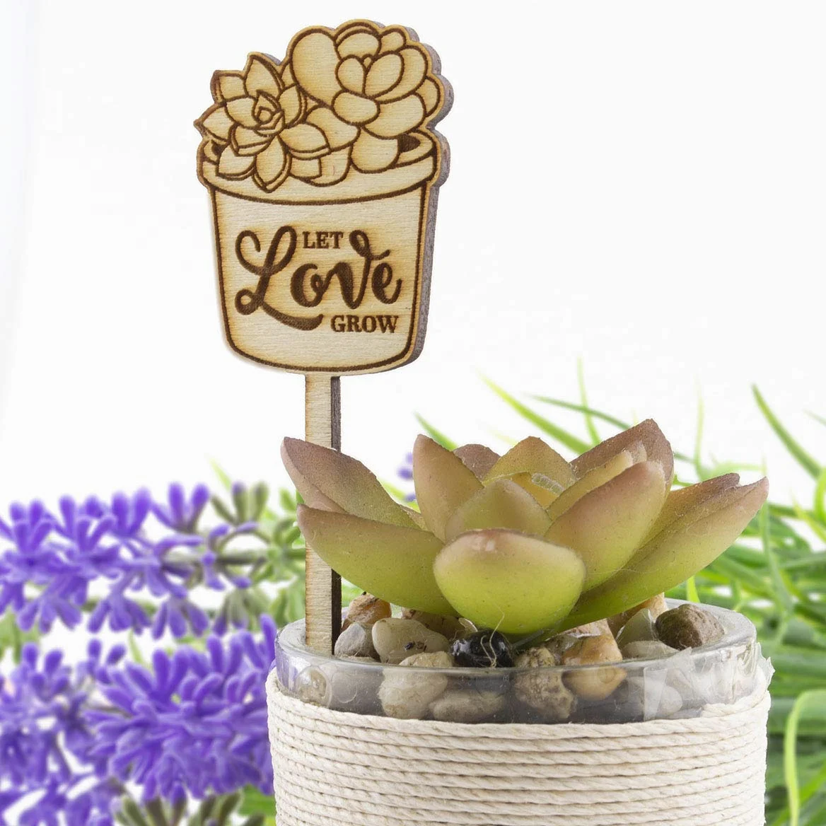 Lot de 50 marqueurs en bois pour plantes succulentes
