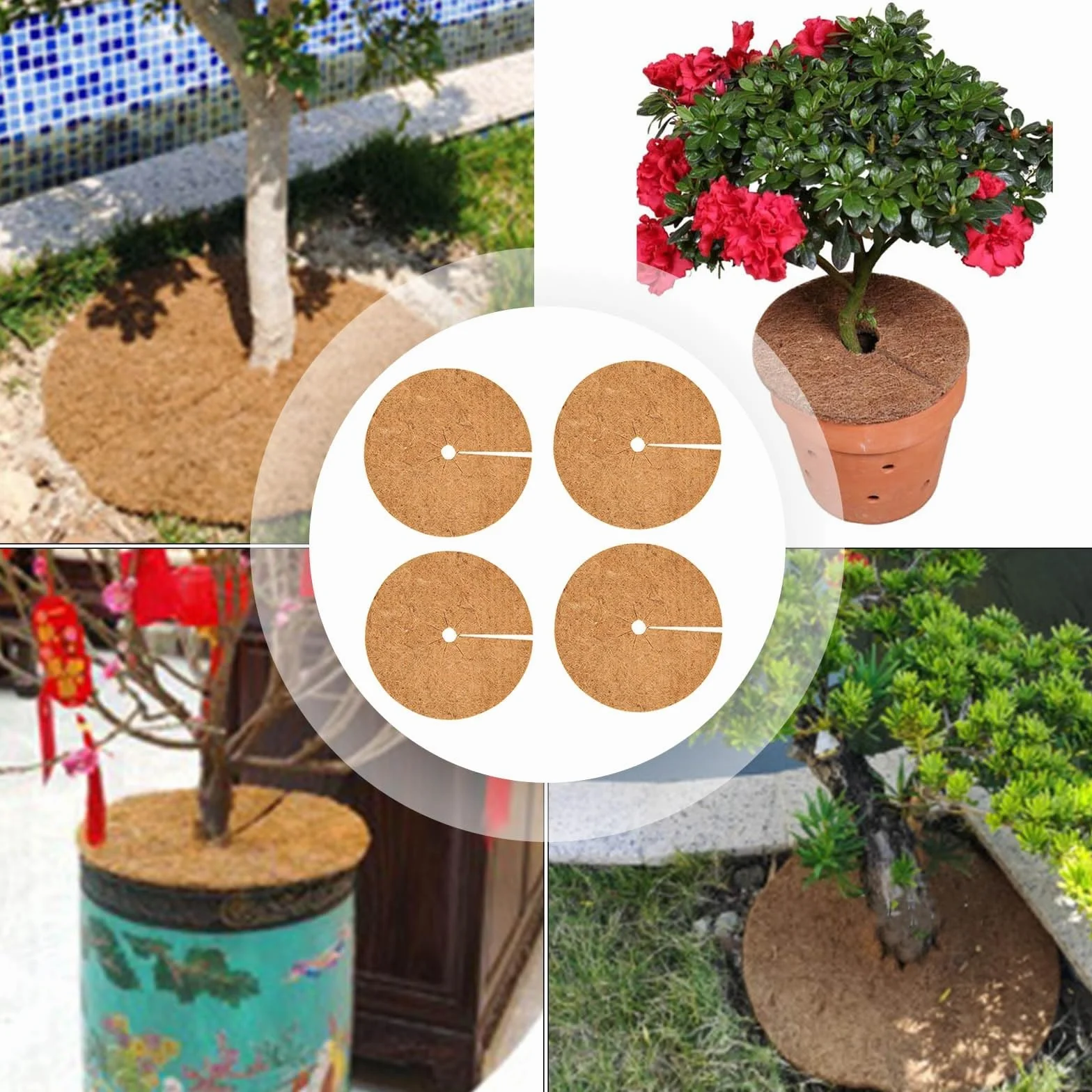 Lot de 4 plateaux de paillis de noix de coco 35 cm fibre de coco protection plantes barrière arbres arbustes