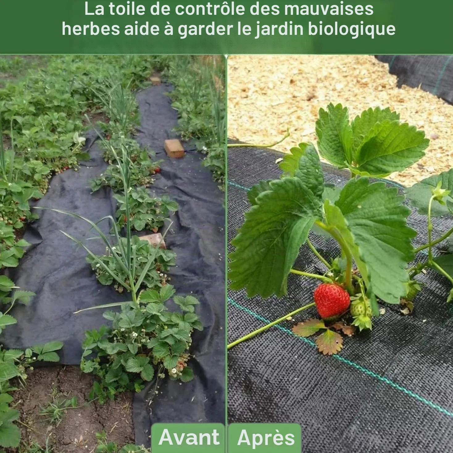 100m² de Toile Anti-Mauvaises Herbes perméable à l'eau, 90g/m² Toile de Paillage indéchirable, Geotextile, Résiste Rayons UV, 4m x 25m