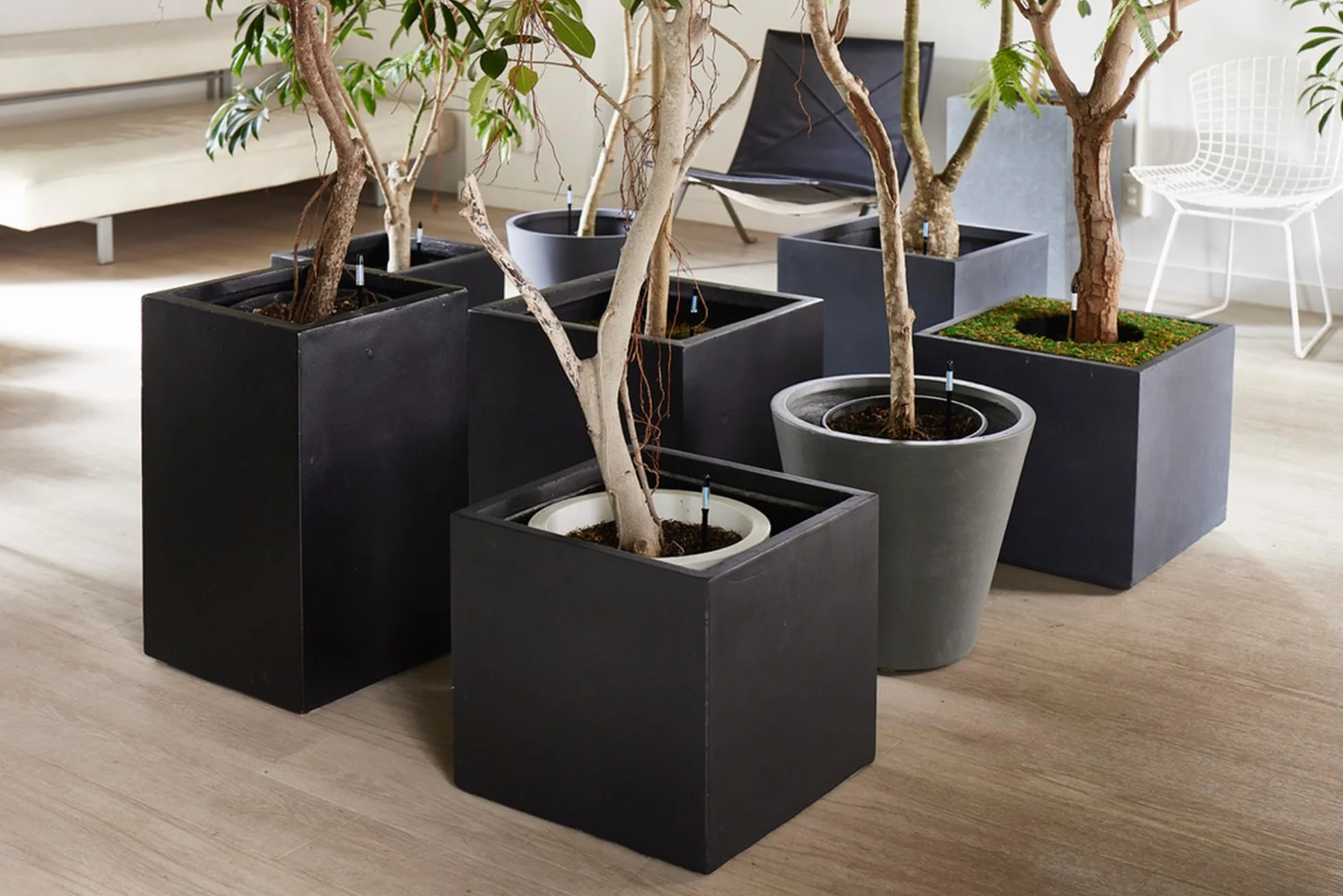 IPPINKA Sustee Aquameter – Grand – Noir – Lot de 4 – Humidimètre de sol sans rinçage pour plantes en pot – Capteur d'eau des plantes – Rechargeable