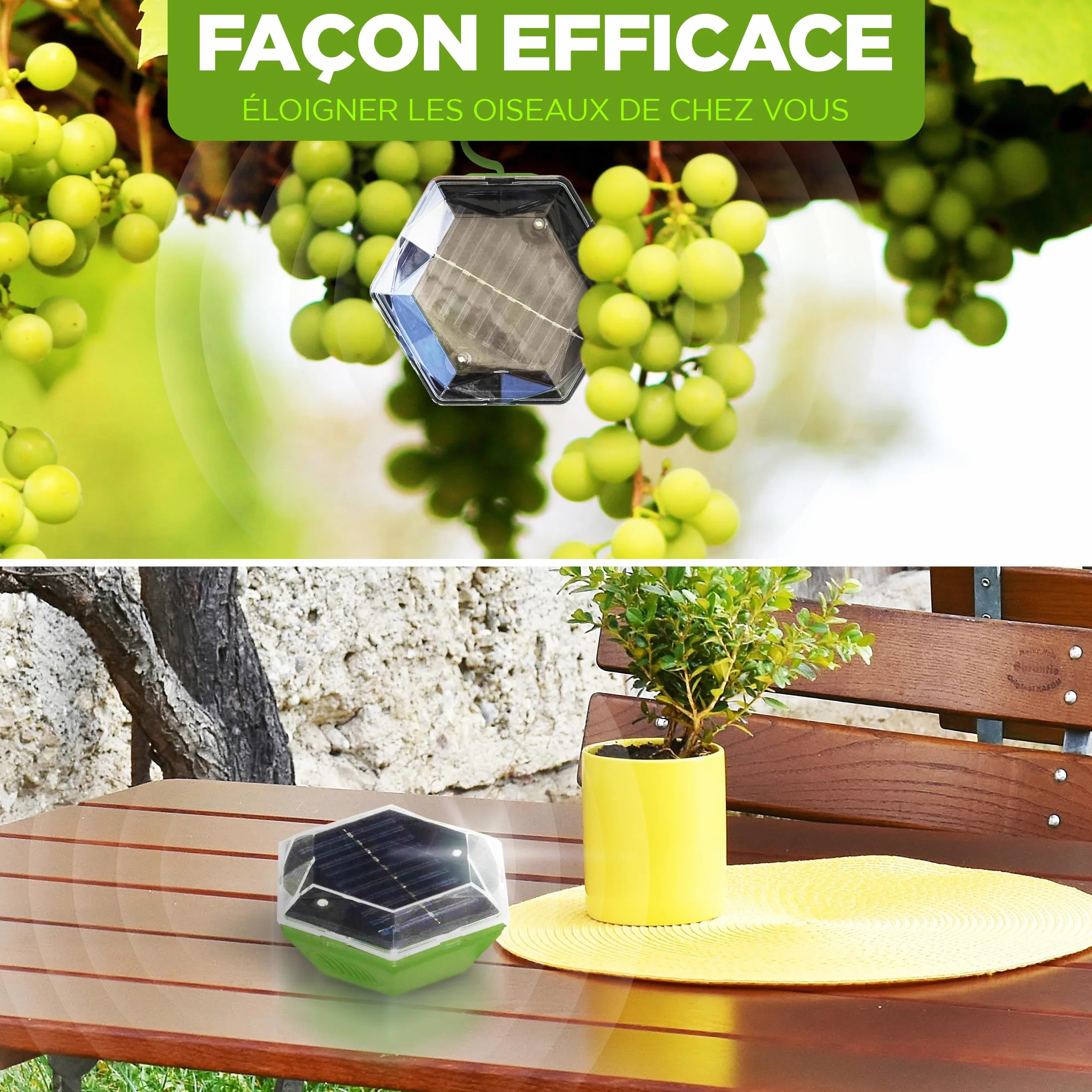 ISOTRONIC Répulsif Solaire Flash et ultrasons – Éloigne Pigeons et Oiseaux – Portée 150 m² – 1 unité