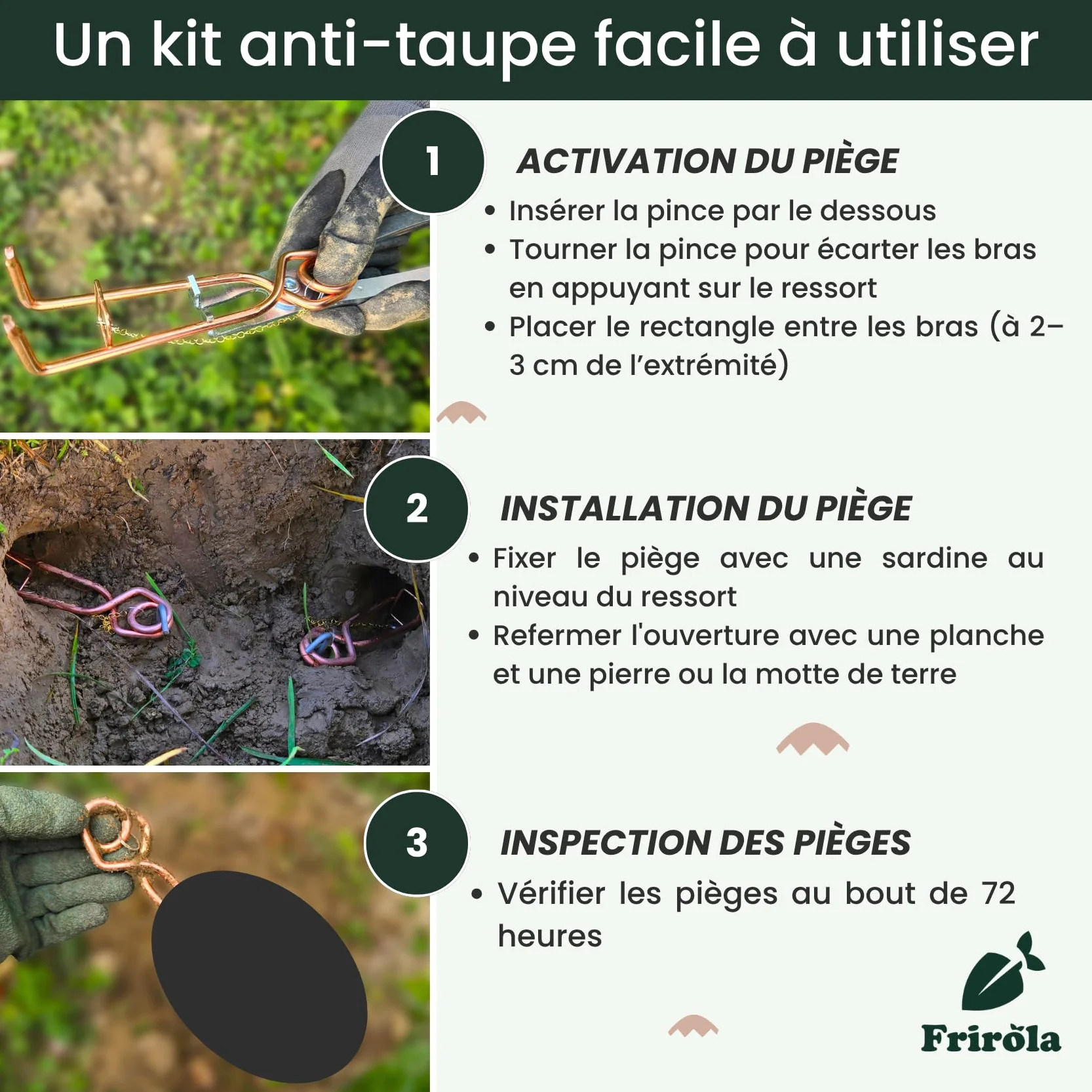 Piège à Taupe Putange avec Pince Améliorée - Lot de 4 - Acier Cuivré - Professionnel Efficace