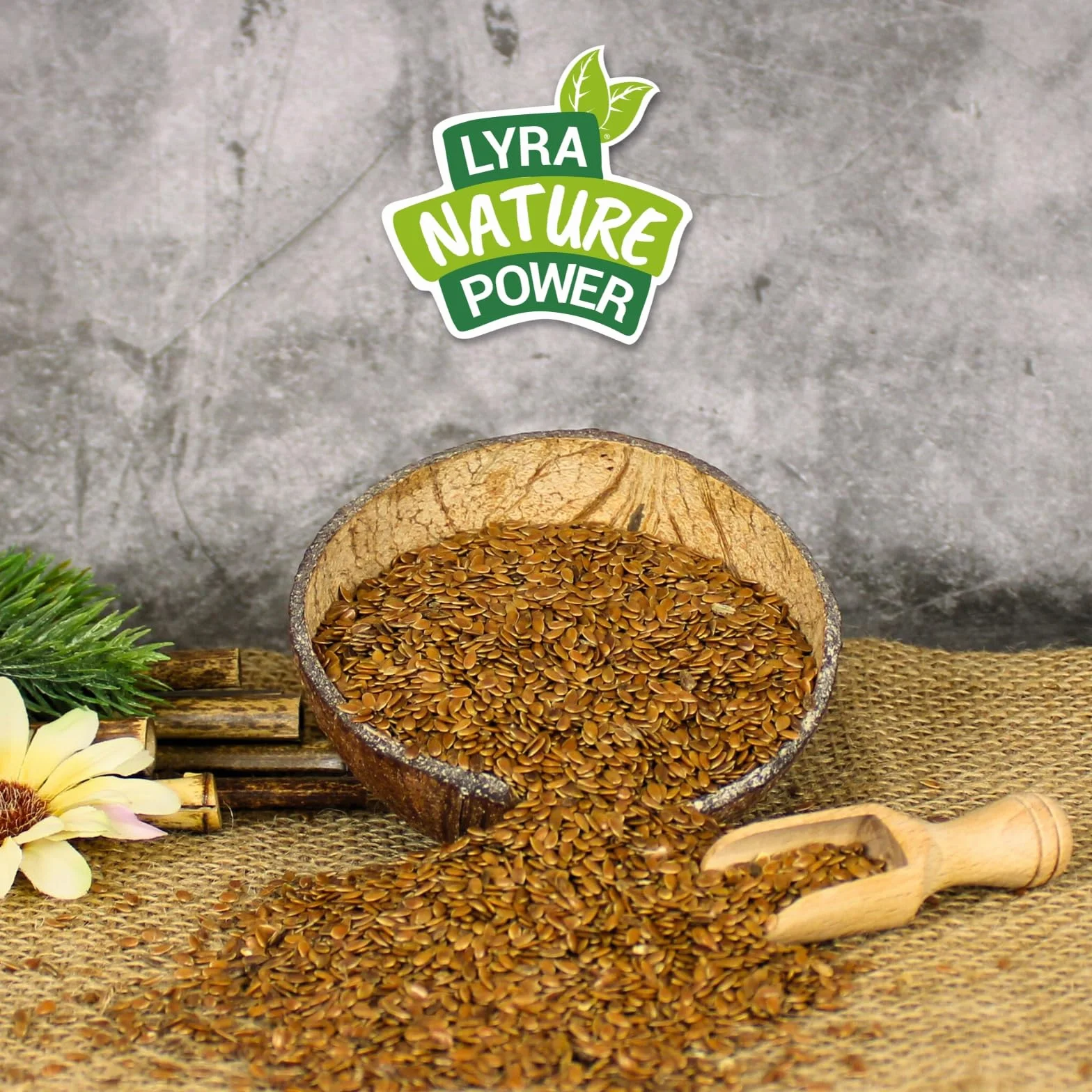 Lyra Pet® 25 kg graines de lin complément alimentaire pour oiseaux sauvages petits rongeurs riche en oméga-3 fibres protéines