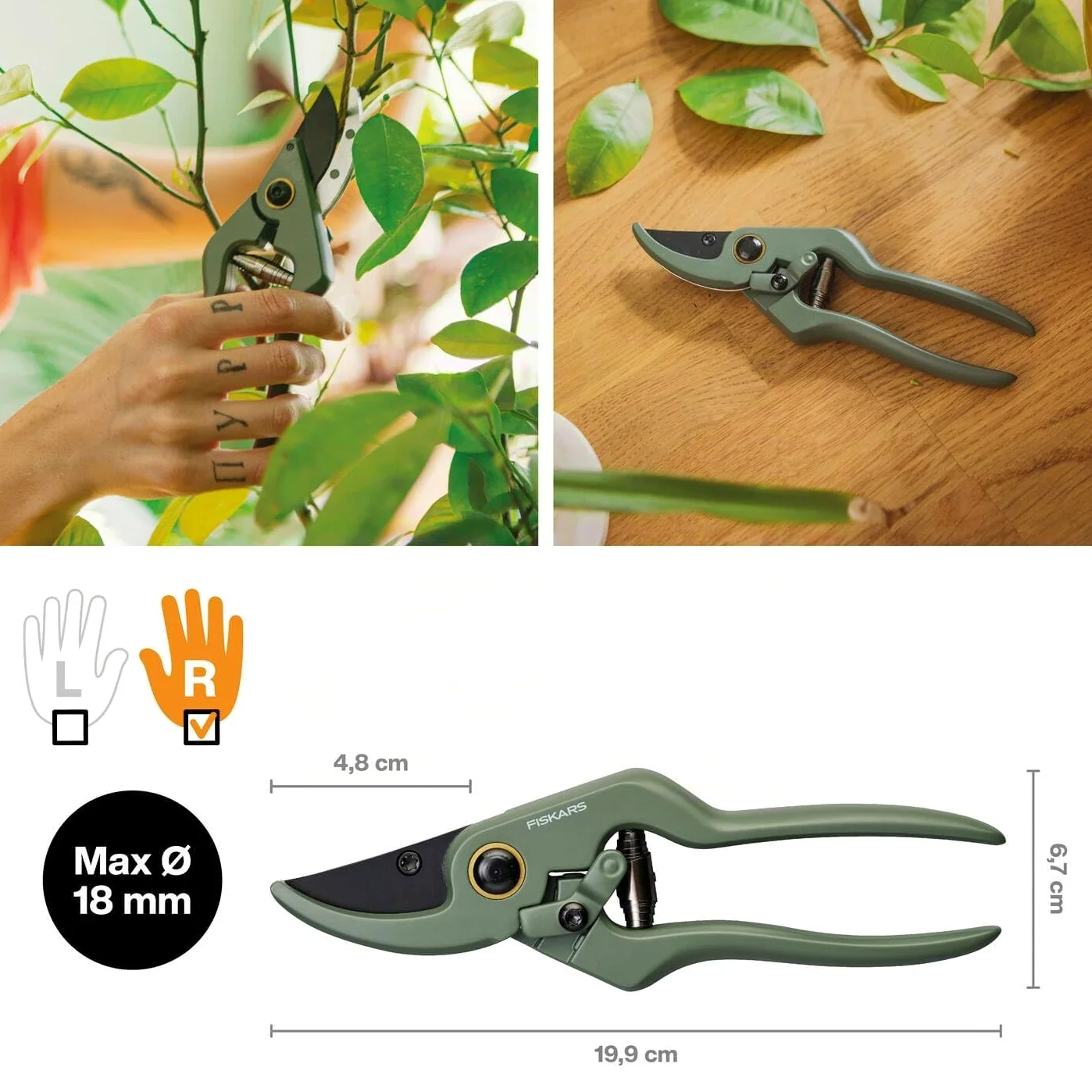 Fiskars Kit de Taille 3 Outils, Jardinage d'Intérieur | Sécateur de Précision, Sécateur et Cisailles pour Plantes avec Support, Acier Inoxydable/Plastique, Vert Foncé/Noir, 1075317