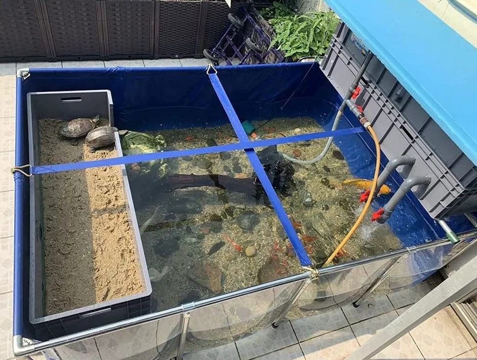 Bassin d'intérieur avec panneau d'observation transparent et vanne de vidange, 200 x 140 x 61 cm, idéal pour l'élevage de poissons, les jeux d'eau et la décoration extérieure. Aquarium résis