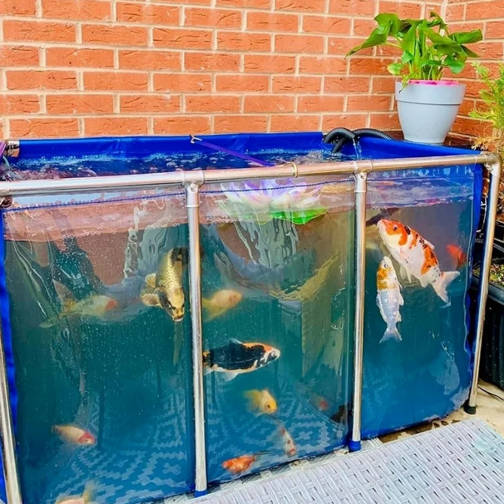 Bassin à poissons hors sol avec fenêtre transparente, doublure en PVC durable et cadre en acier robuste pour l'élevage de carpes koï et installation facile