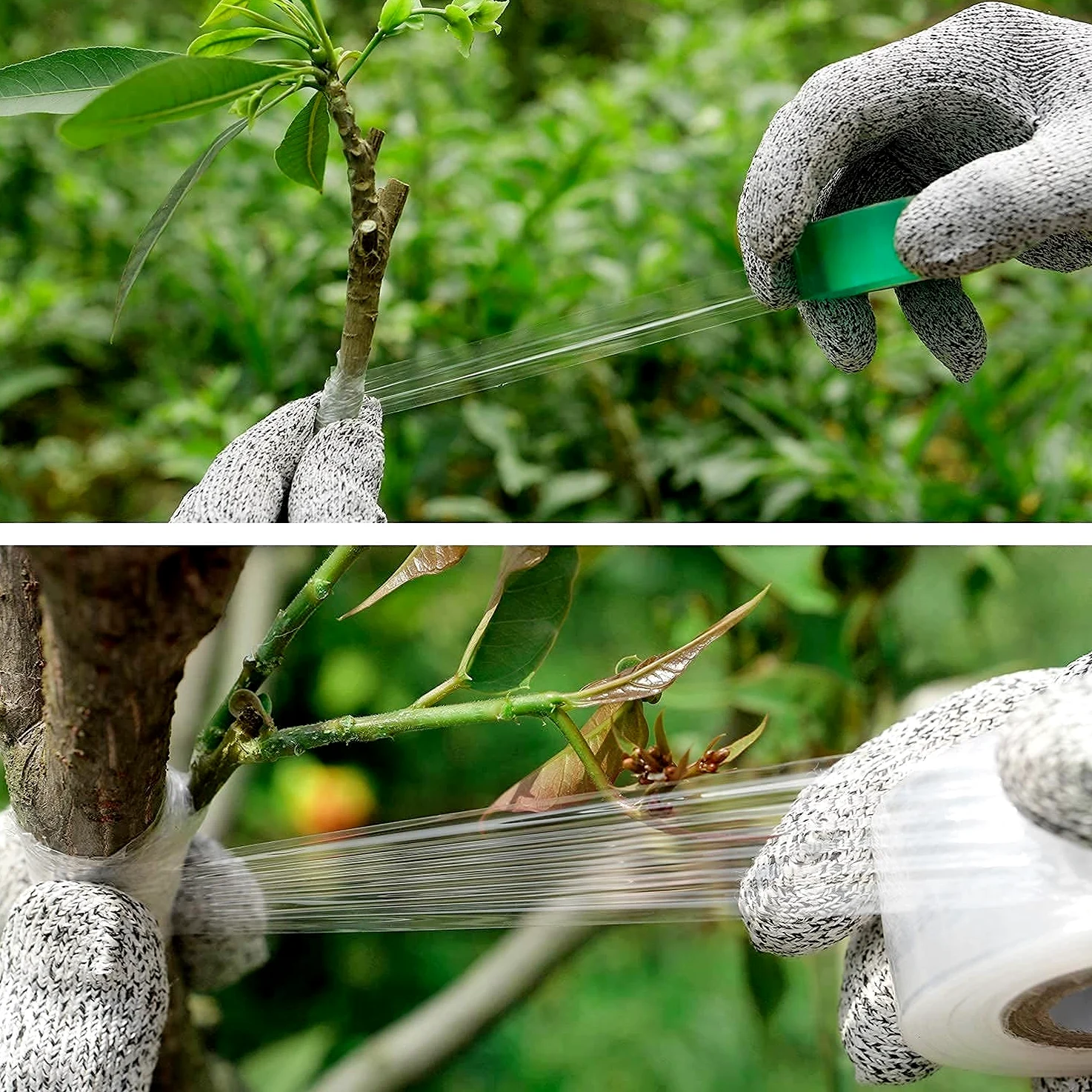 Greffage Outil Kit, Jardin Sécateur Ensemble Y Compris Lames De Rechange, Greffage Couteau, Greffage Bandes, Les Étiquettes des Plantes et Jardin Clips, Parfait pour Arbres Fruitiers Greffage
