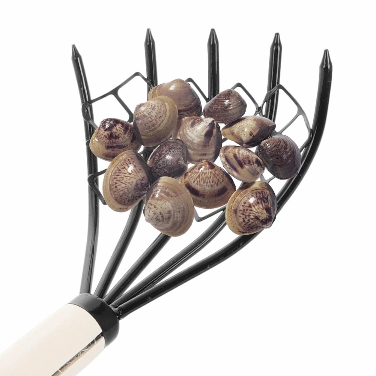 Sosoport RâTeau De Plage 5 Dents en MéTal 15 Pouces RâTeau À La Griffe pour Ramassage Coquillages Et HuîTres Outil Manuel Portable pour Creusage Fruits De Mer