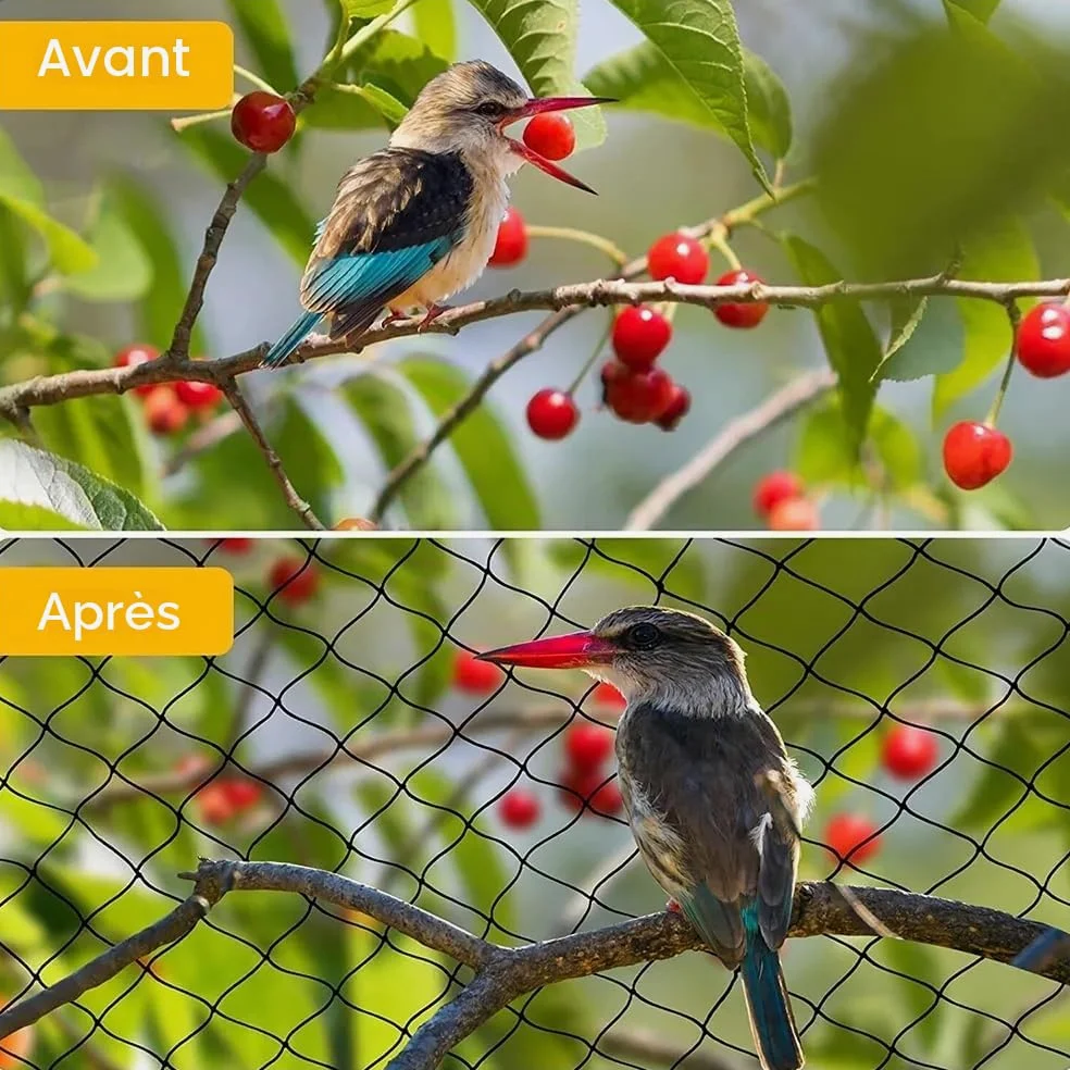 NEWFUN Filet Anti Oiseaux,Filet Voliere,Filet pour Oiseaux (15m x 30m), 25mm, Filet tissé Extra Fort, Filet pour Oiseaux, Protégez Arbres Fruitiers Et Les Légume des Dommages Causés