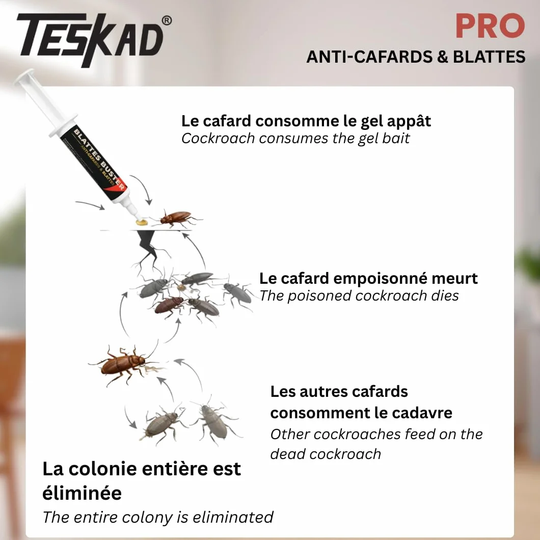 Blattes Buster Gel Anti-Cafards 10g Professionnel – Insecticide Appât Puissant Élimine Cafards et Blattes Protection Longue Durée Intérieur