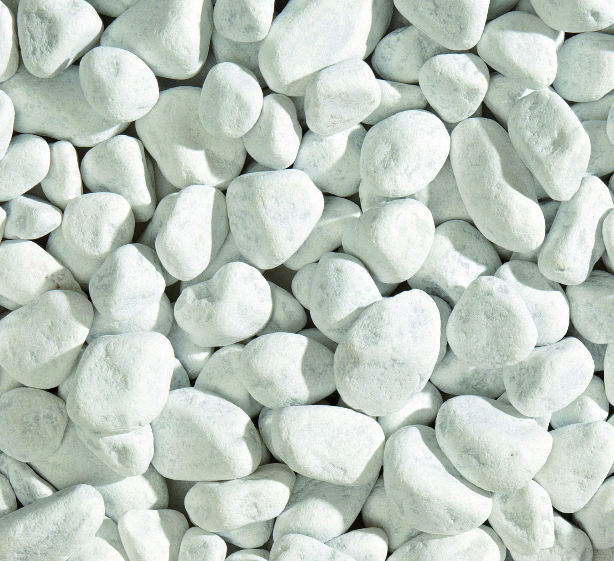 Galets de marbre blancs 20 kg pierres jardin 15/25 mm