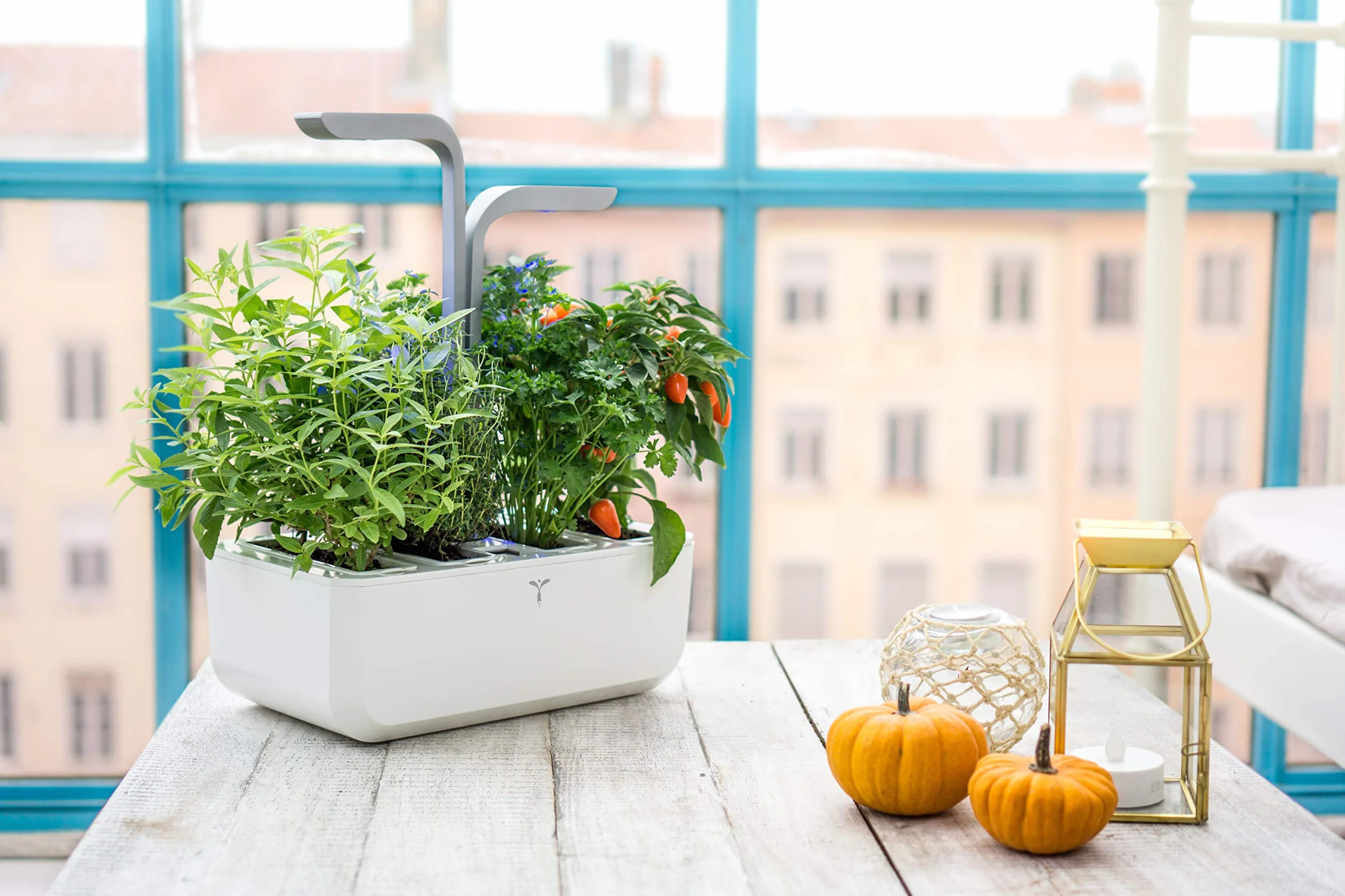 Smart Potager d’Intérieur Fabriqué en France – Jardin Autonome Intelligent avec Technologie Adapt’ Light 4 Lingots