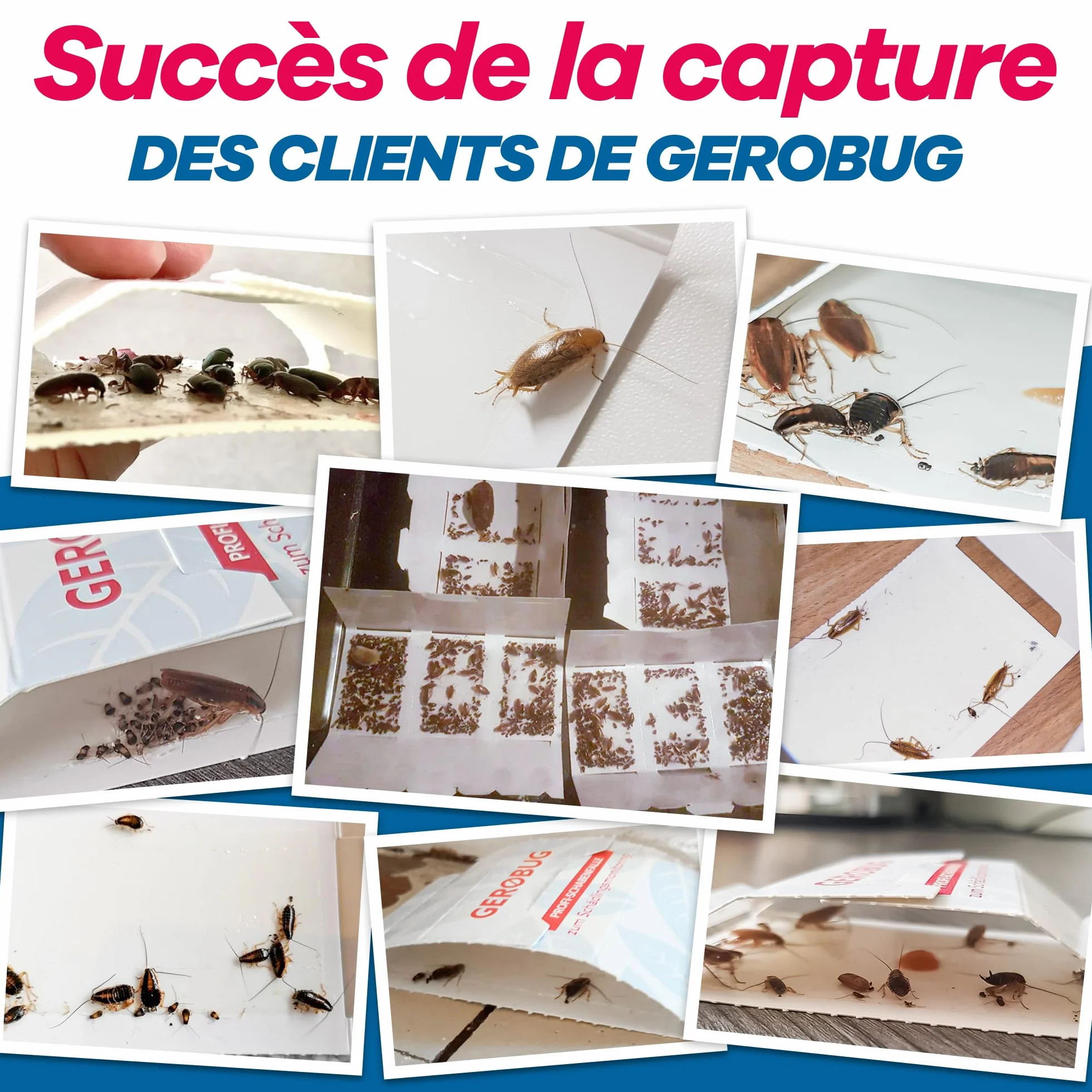 Gerobug Piège à cafards Professionnel 12 pièces - Piège à Colle pour surveiller les cafards