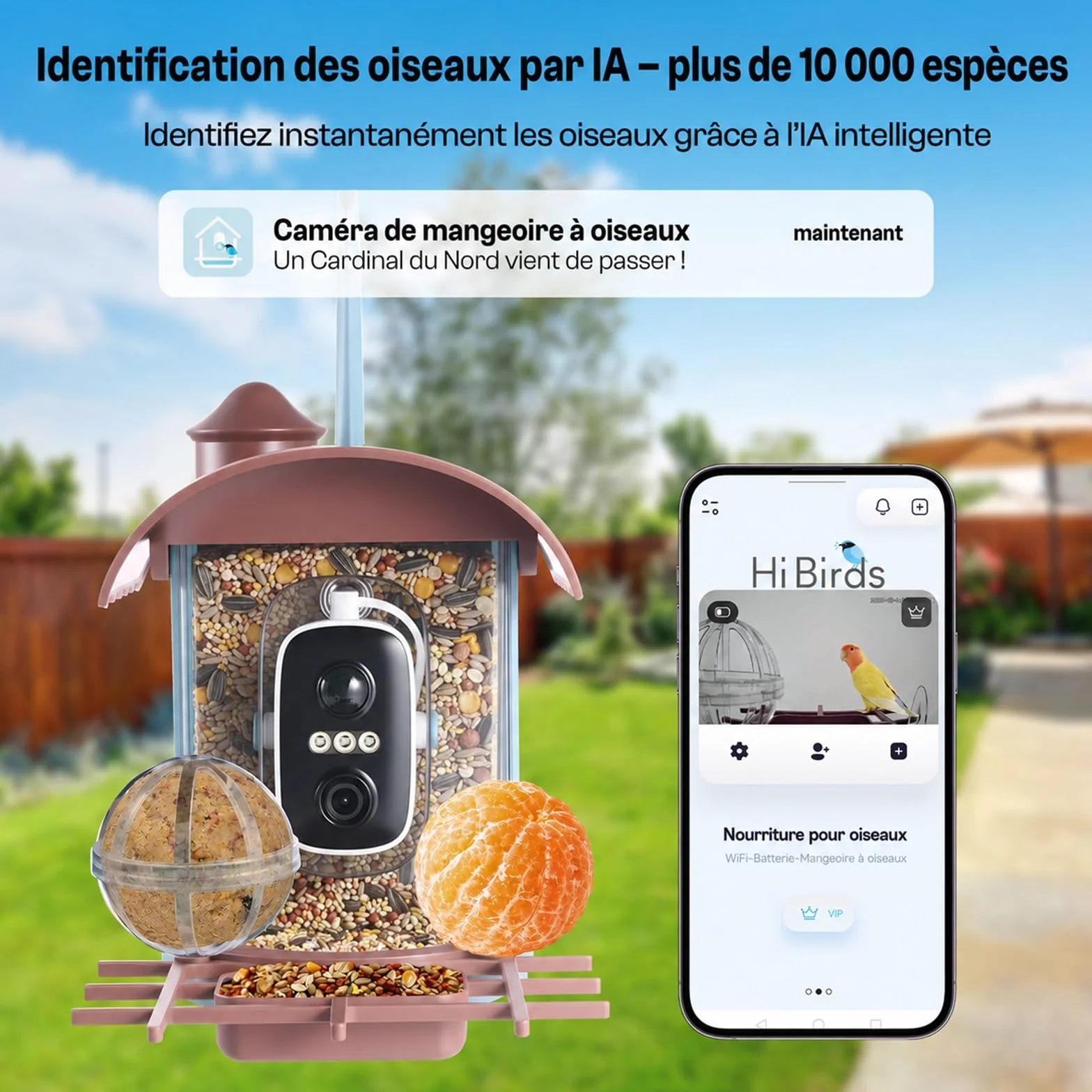 Nichoir à Oiseaux avec Caméra 4MP Solaire mangeoire Station d'alimentation Enregistrement vidéo Photo Identification IA Détection Mouvement Notification