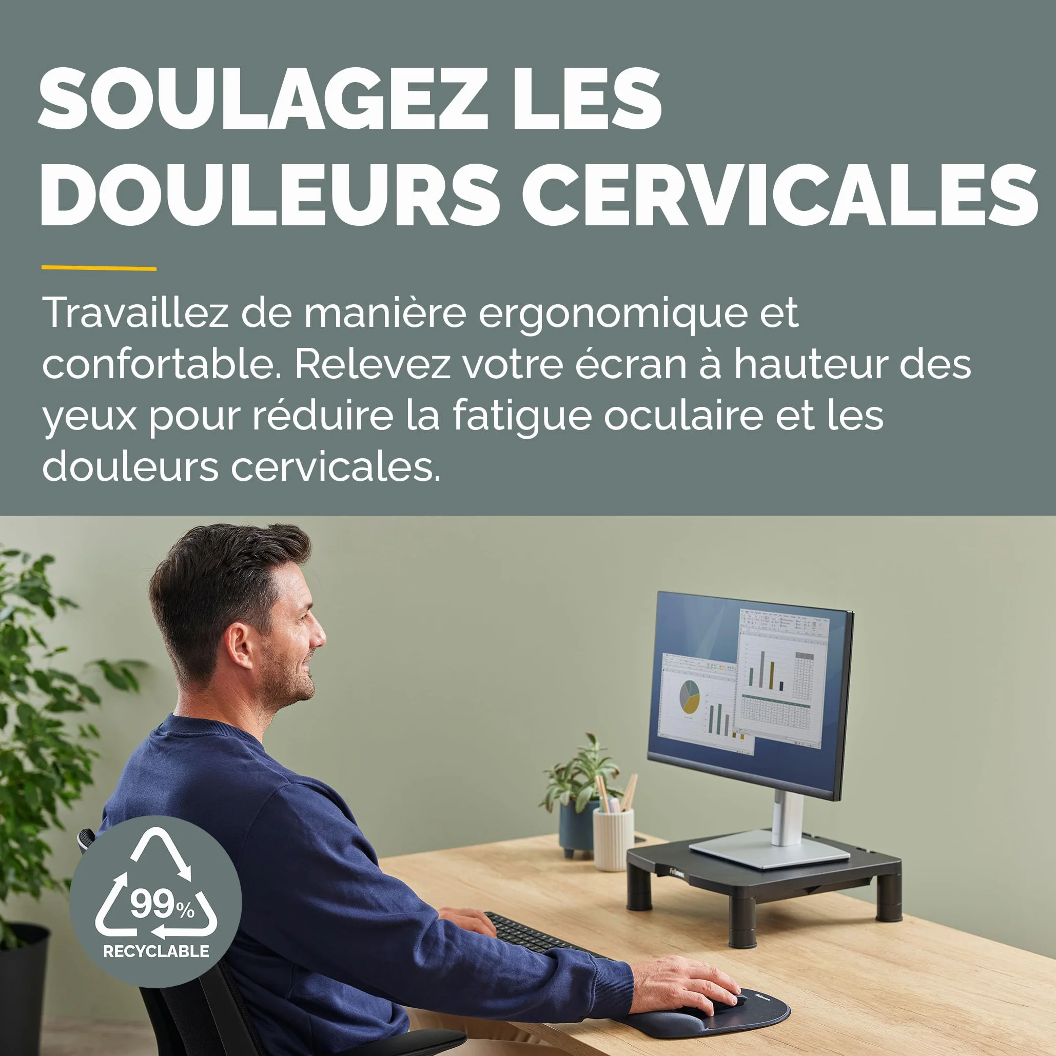 Fellowes Support d'écran Everyday Noir Réglable en Hauteur 3 Niveaux Ergonomique Gestion des câbles Charge Max 27 kg