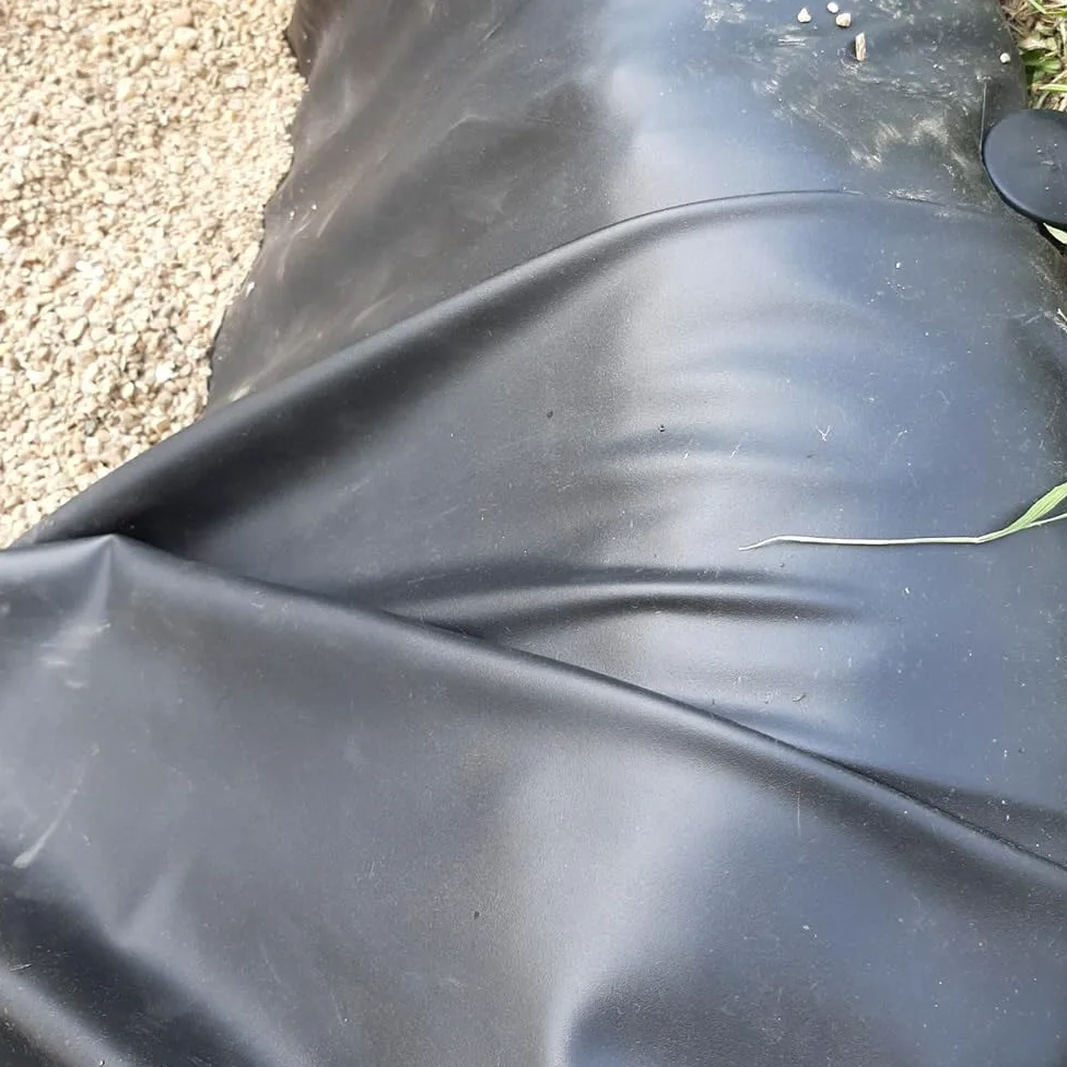 Bâche Souple et résistante de 10 x 10 m pour Bassin de Jardin, étang à Poissons, ruisseaux extérieurs, Cascades et fontaines.