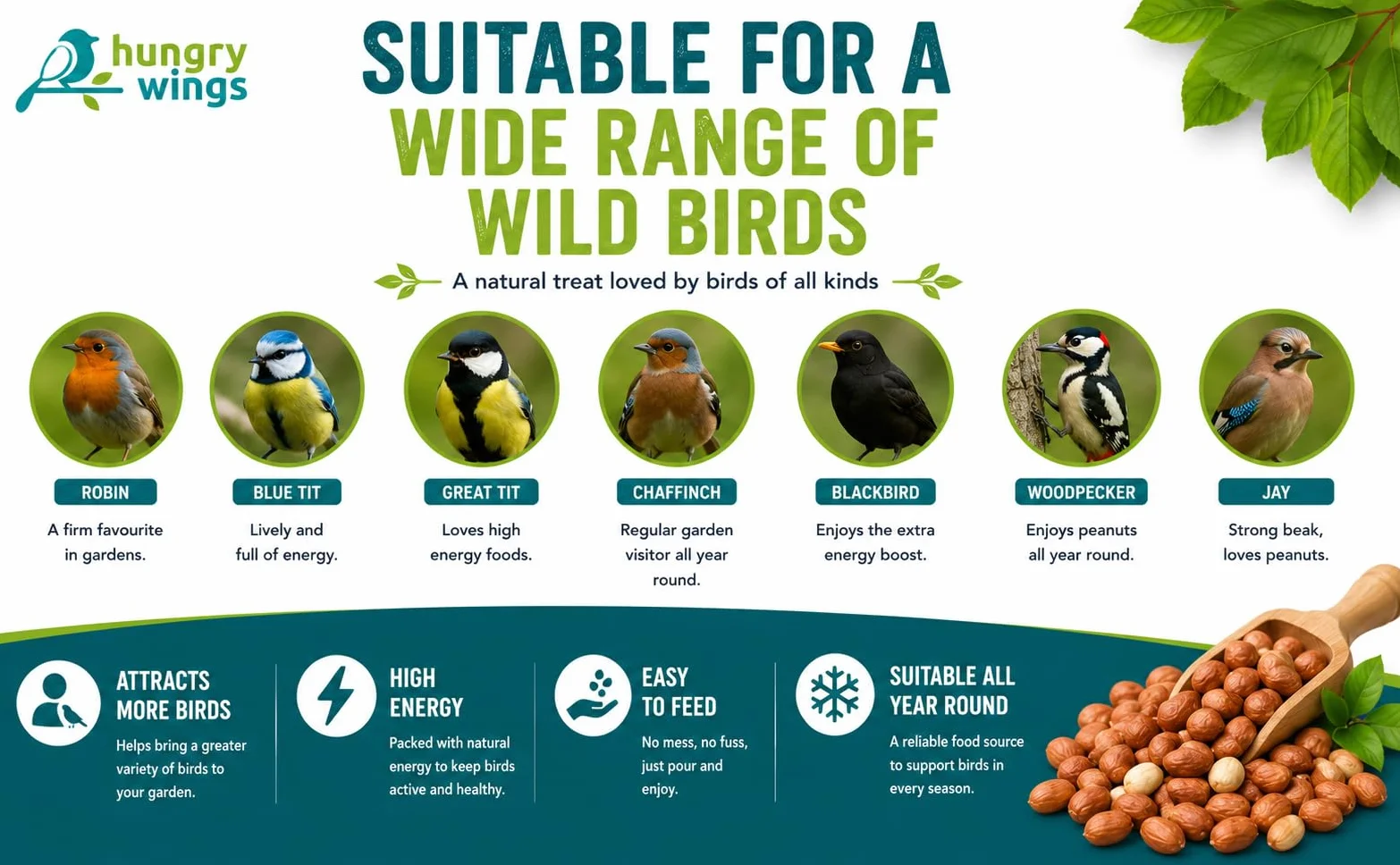 Nourriture pour Oiseaux Sauvages 5 L, Cacahuètes