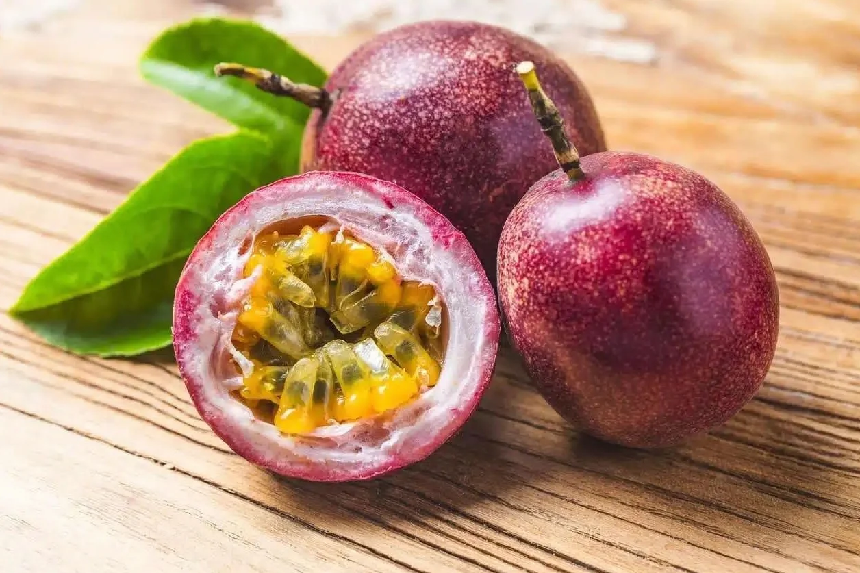 Graines de Fruit de la Passion Pourpre – Passiflora edulis – Fruit Tropicale