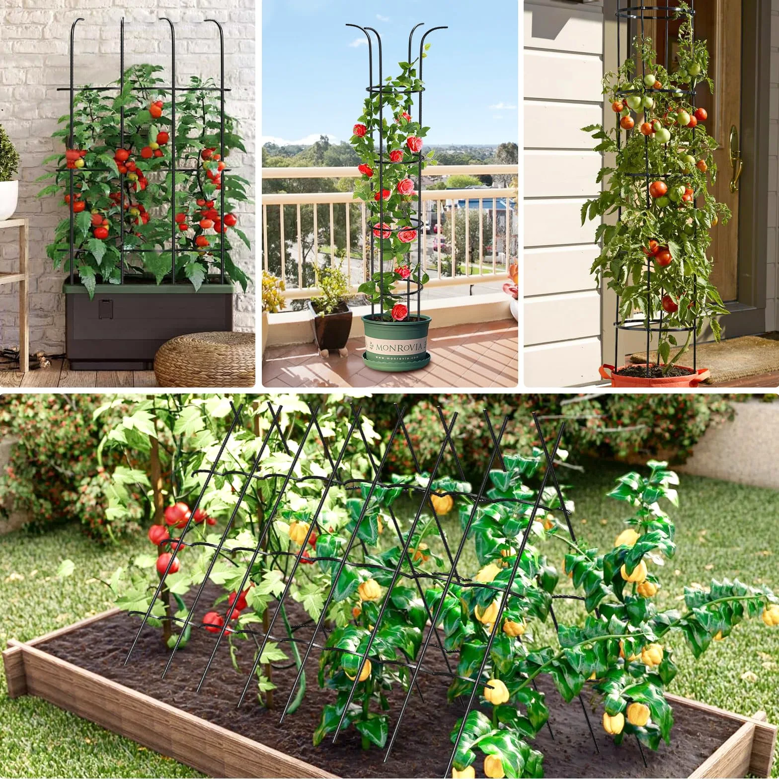 MQUPIN Tower Obélisque Treillis pour Plantes grimpantes de Jardin 150 cm - Obélisque en U Durable - Noyau en métal - Framboises - Amovible