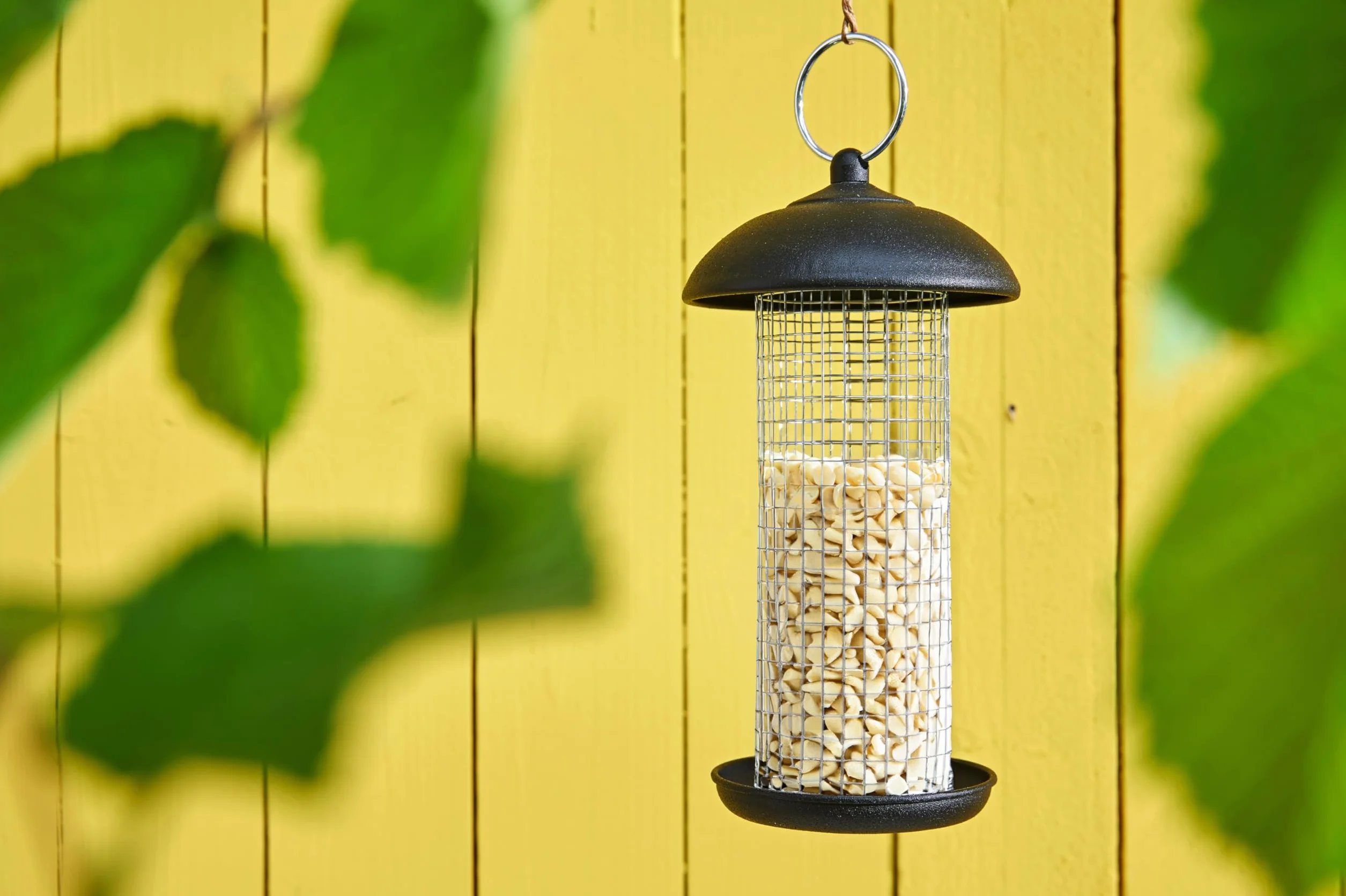 Dehner Natura Premium Nourriture pour Oiseaux Sauvages, arachides concassées, 3,4 kg