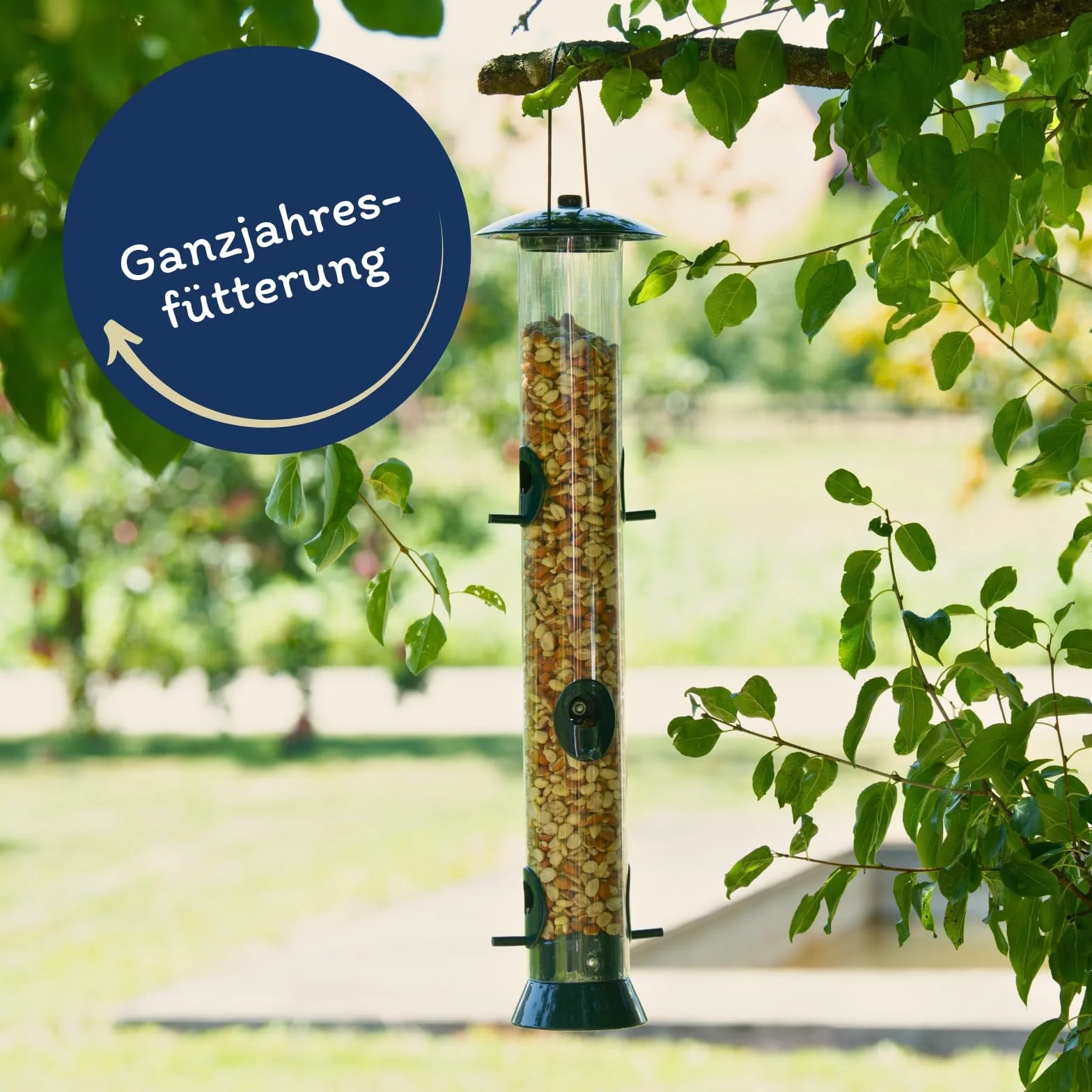 Graines de cacahuètes Splits mélangées blanchies & avec Peau 25 kg Nourriture pour Oiseaux Sauvages