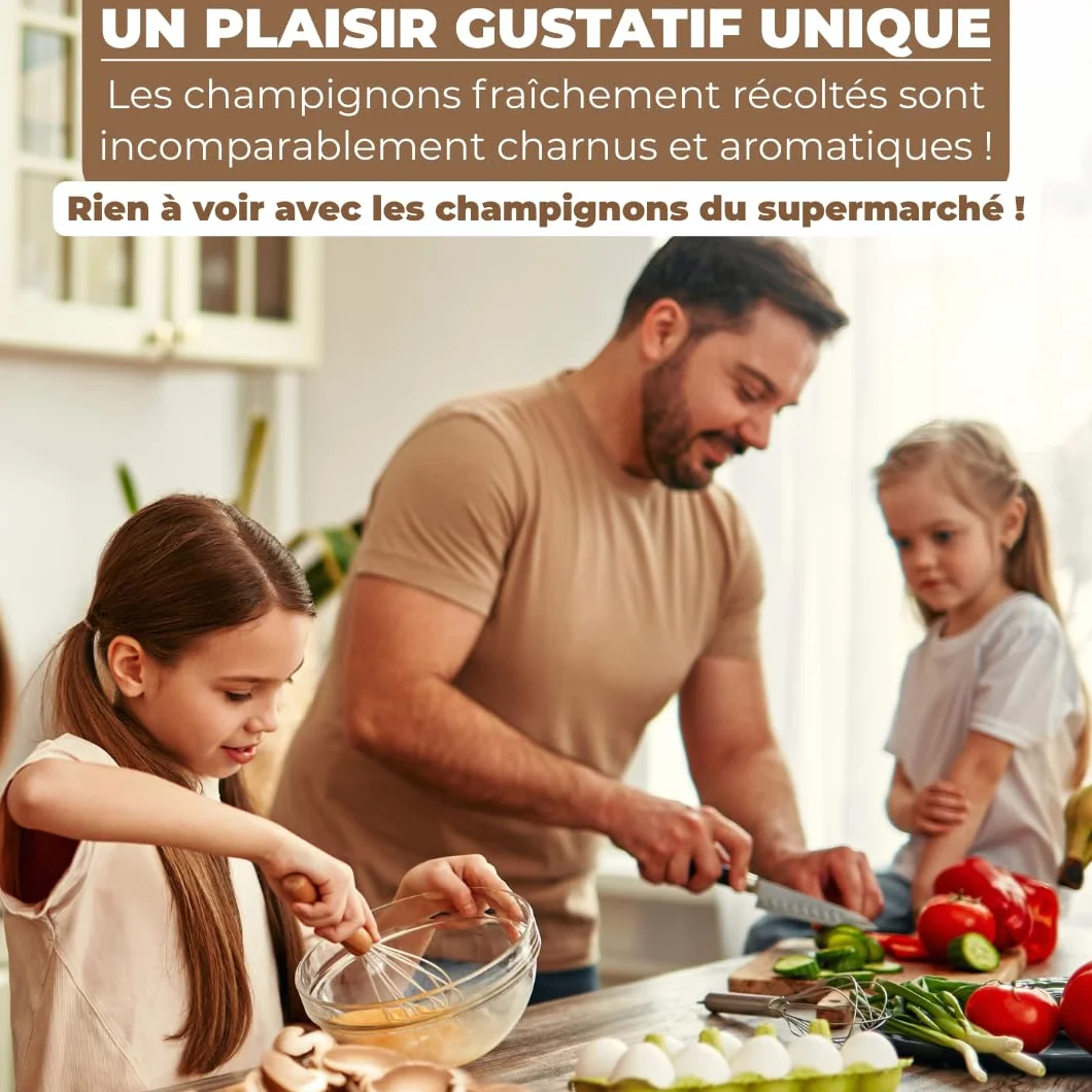 Hawlik Kit de culture de champignons Lions Mane Hericium erinaceus