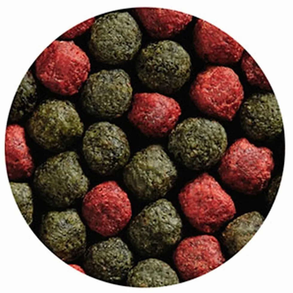 animallparadise - Nourriture pour koï - 42Litres soit 15KG.