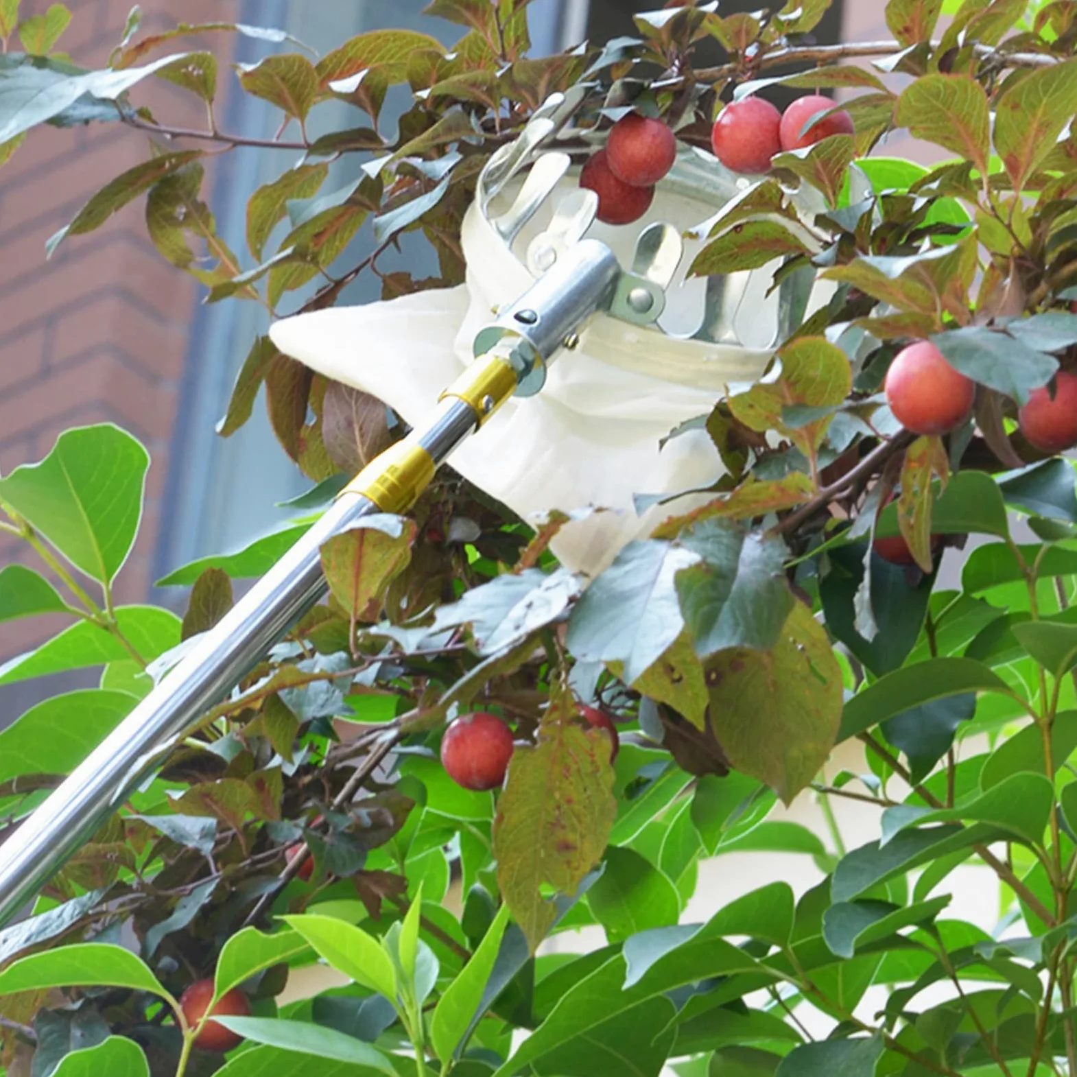 Pince à fruits télescopique avec panier pour une récolte facile, outil pratique pour cueillir les fruits