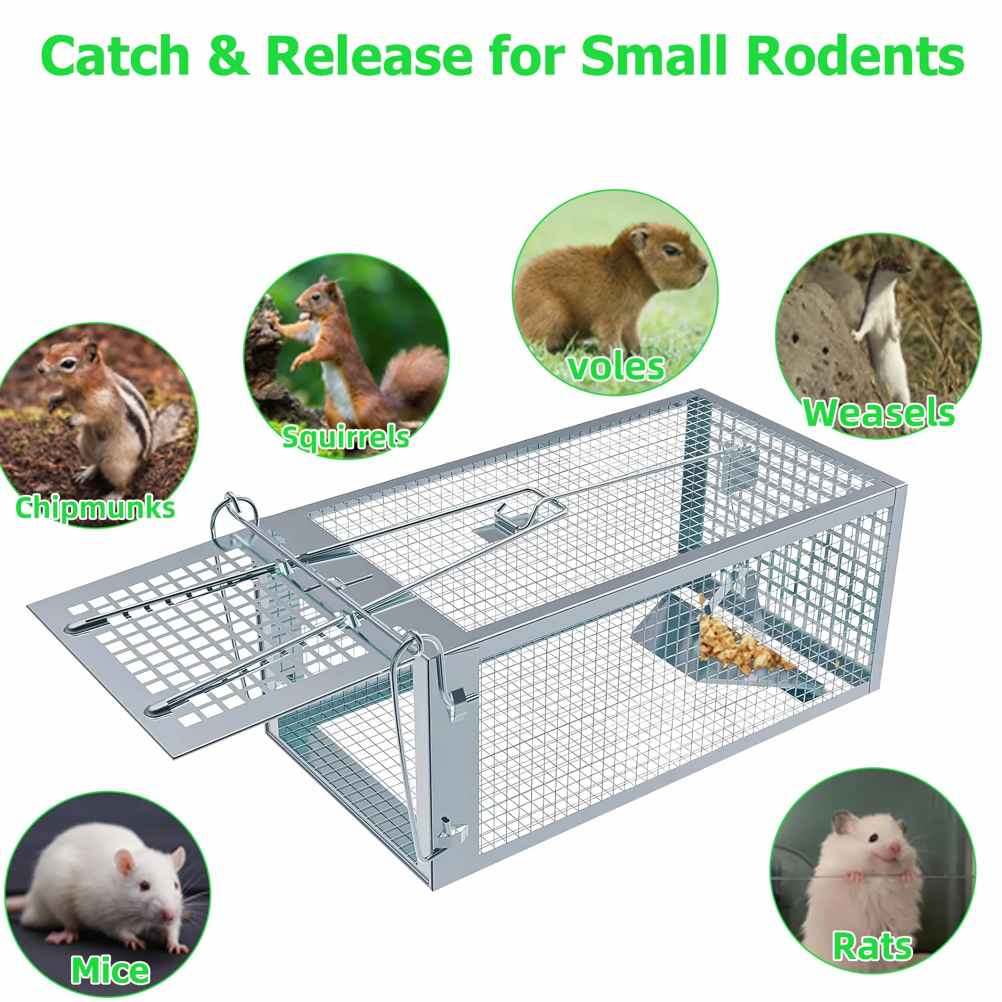 Piège à Rat 2 Pièces XL Cage Attrape Souris sans Tuer 27 x 14 x 12 cm Réutilisable