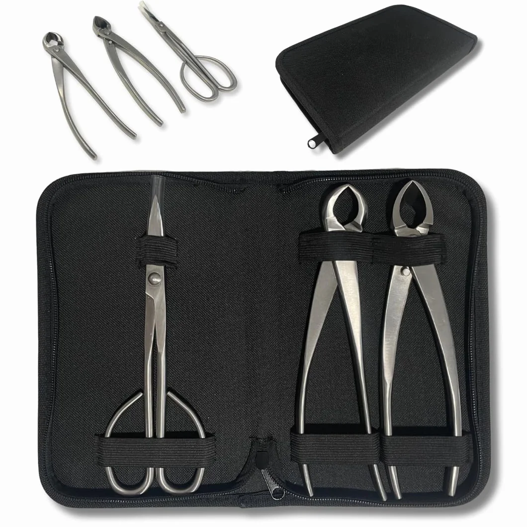 Kit d'outils professionnels pour bonsaï – Mallette d'entretien pour bonsaï avec ciseaux, sécateur concave et sécateur droit Indispensable pour l'entretien