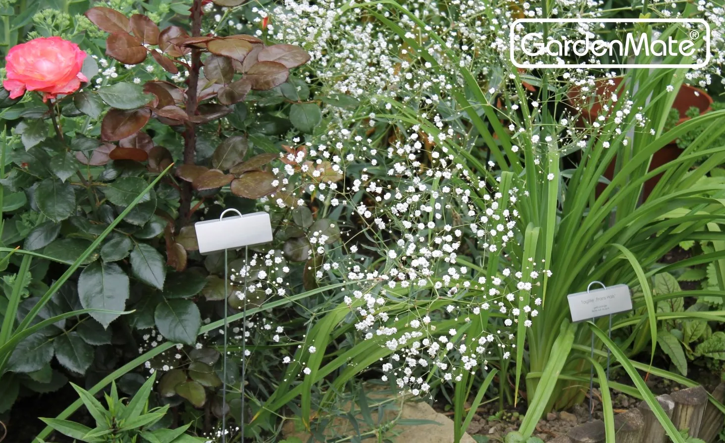 GardenMate Lot de 100 grandes étiquettes en métal pour plantes de 29,9 cm