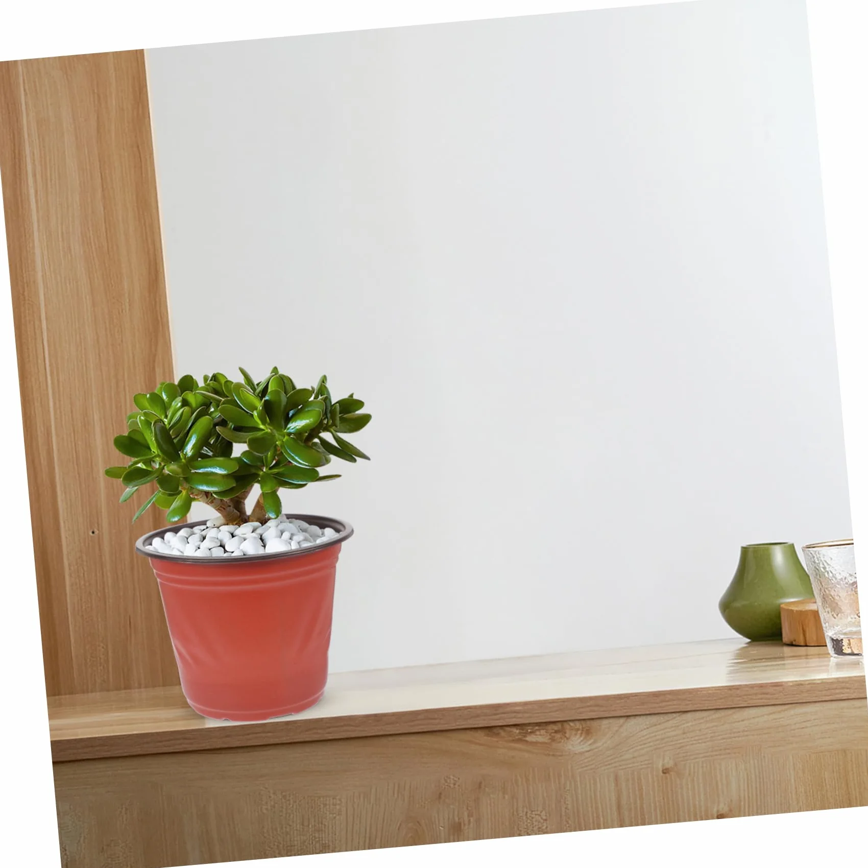 Pots de Fleurs en PP Bicolore 4.65 Pouces Lot de 50 pour Jardinage et Plantes Succulentes Réutilisables
