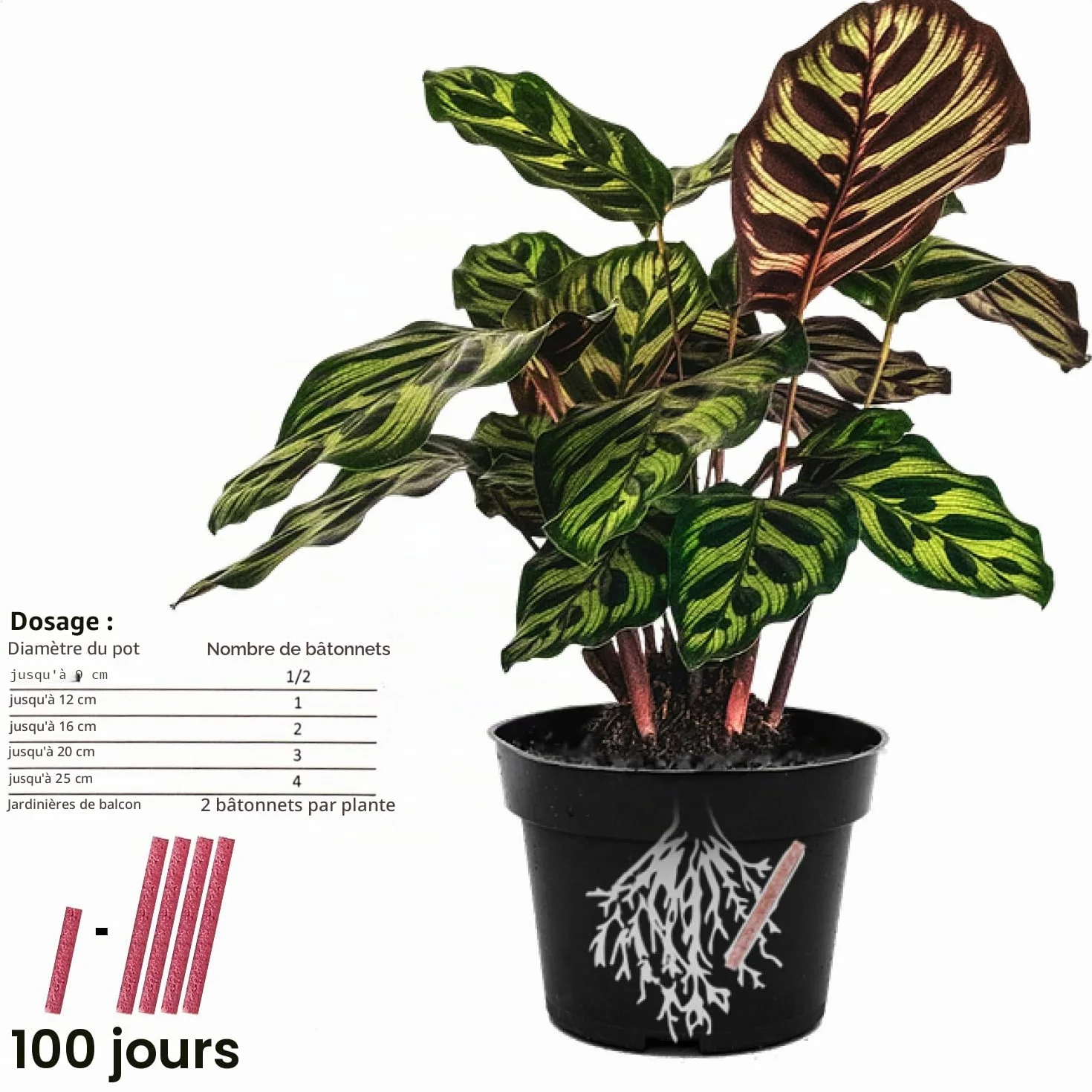 Com-Four Lot de 160 bâtonnets d'engrais pour fleurs
