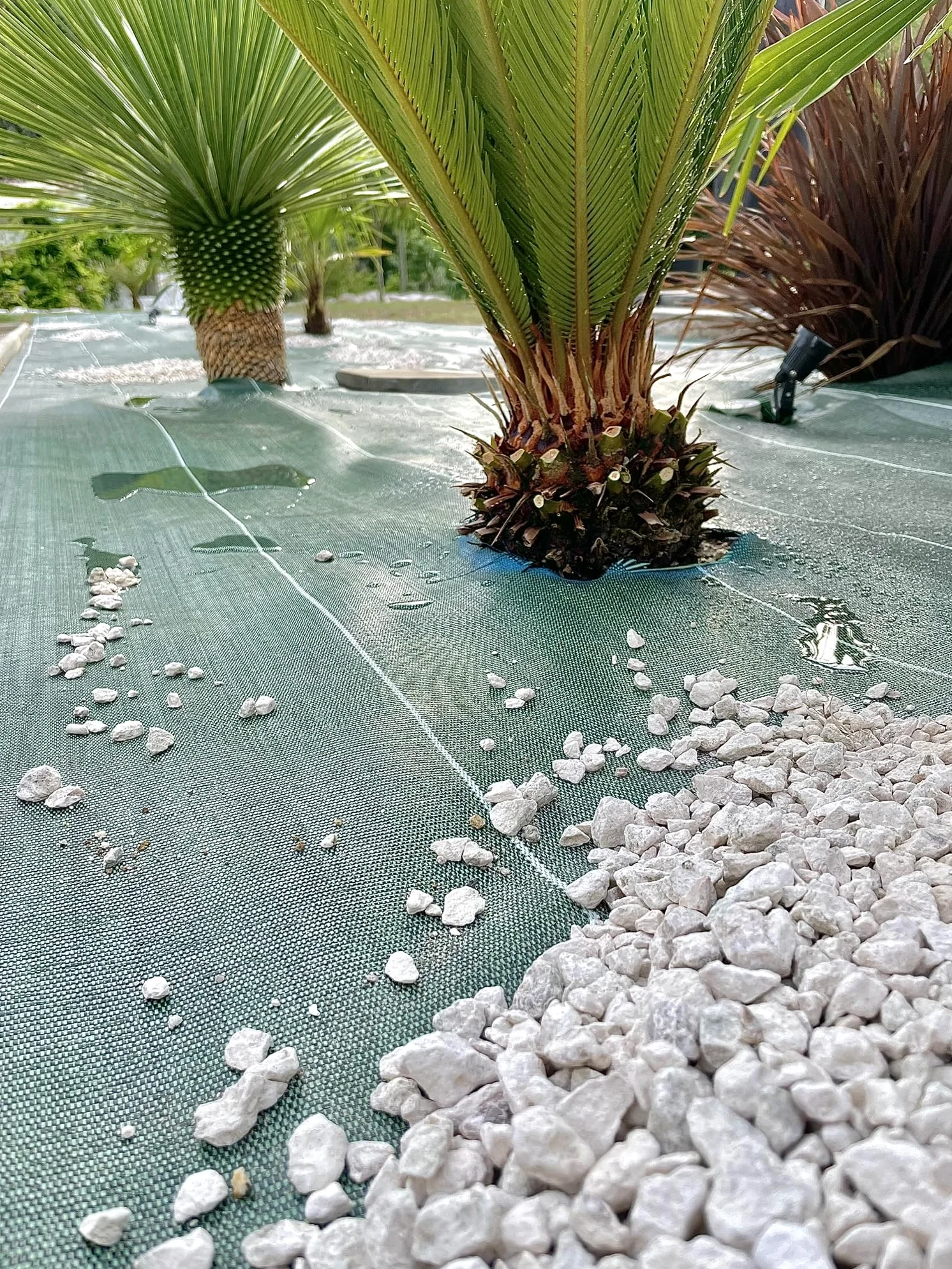Pack Agrafes et Toile de paillage Grande Largeur 4,15m - Anti Mauvaises Herbes Longueur 15m - Lot Bache Vert 130gr par m2 - Geotextile - Large 4M ZENLYS
