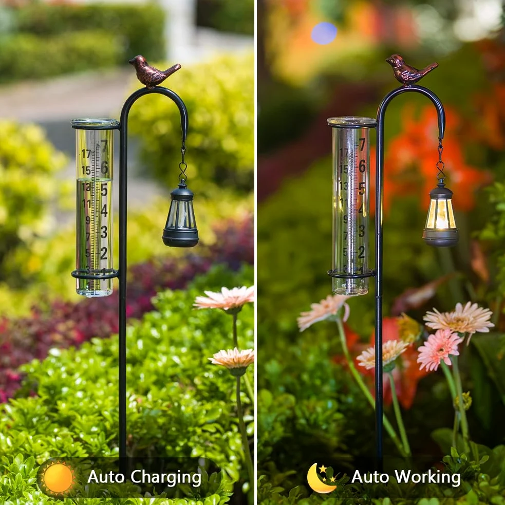 Pluviomètre solaire pour l'extérieur Motif colibri | Tube en verre de 17,8 cm, en forme de lampadaire, pluviomètre décoratif pour jardin, cour, pelouse