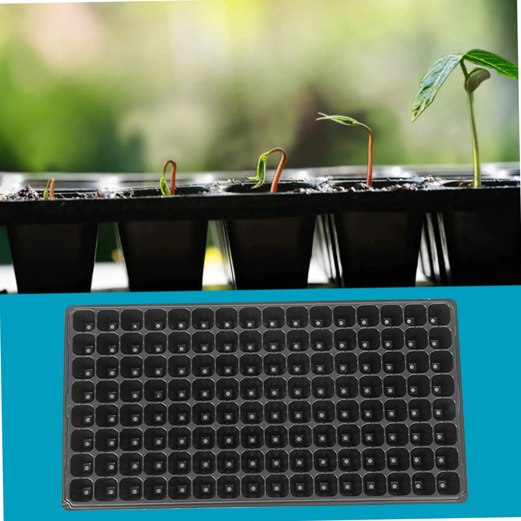 Plateaux de semis 200 cellules 53 x 28 x 3.6 cm Noir Réutilisables