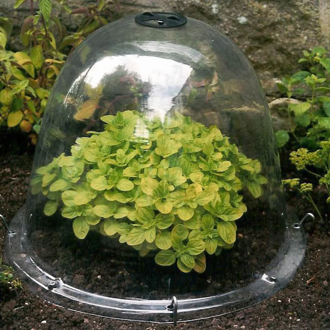 Haxnicks TIERRA GARDEN Lot de 3 Cloches de Jardin Transparentes Original 34 x 26 cm