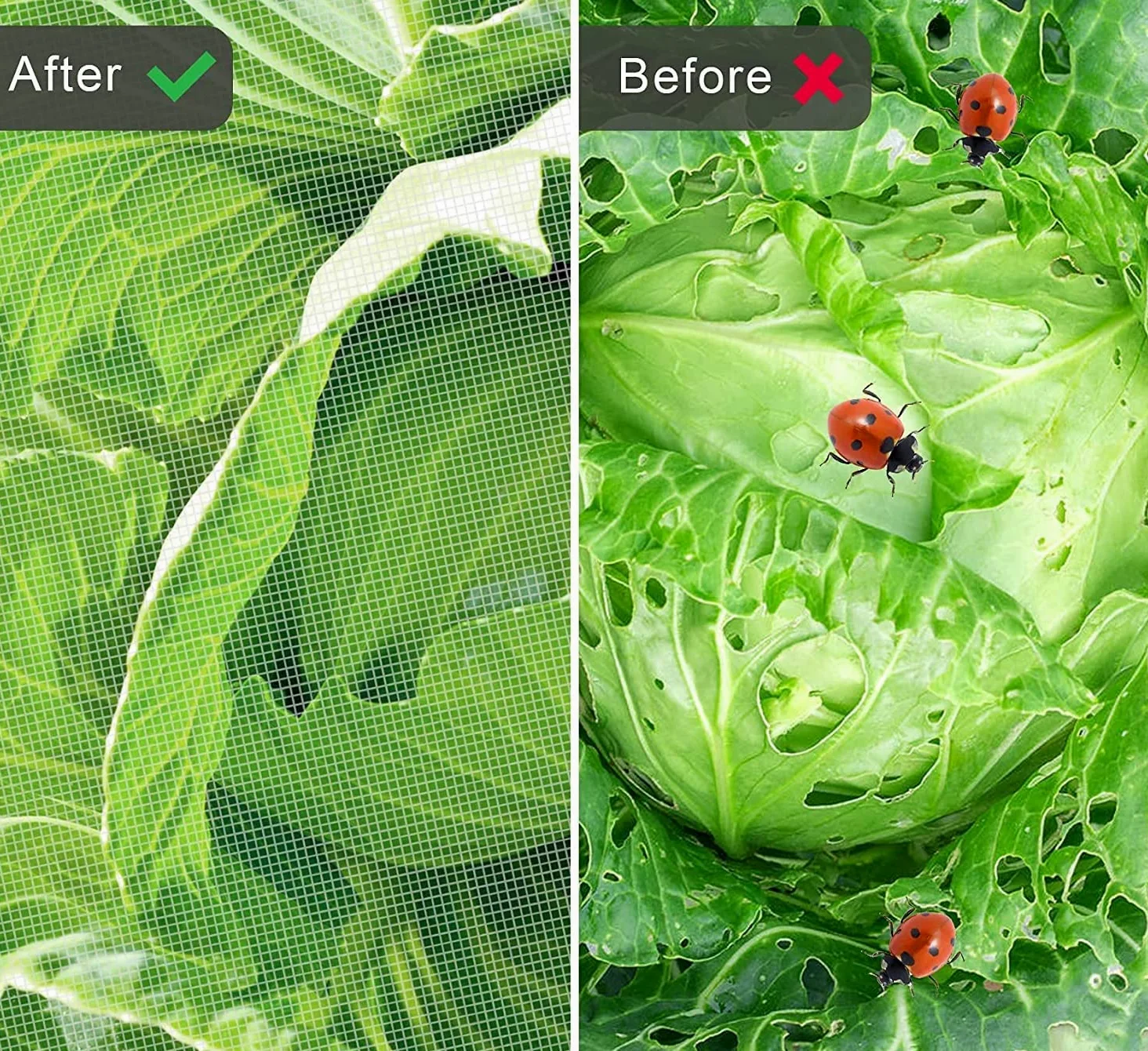 Filet Anti Insectes pour Plantes Jardin, Filets Maille Fine pour Jardin, Filet Anti Oiseaux Moustiquaire, Filet Anti-Insectes pour Légumes, Peut être Directement Couvert et Arrosé(1.5x30m)