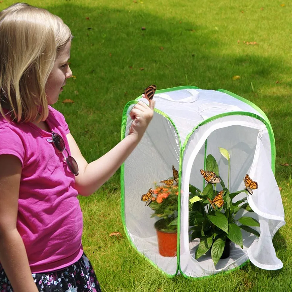 Lot de 2 cages habitat à insectes et papillons - Pour terrarium - 2 x 15,7 x 15,7 x 23,6 cm - Blanc durable + vert