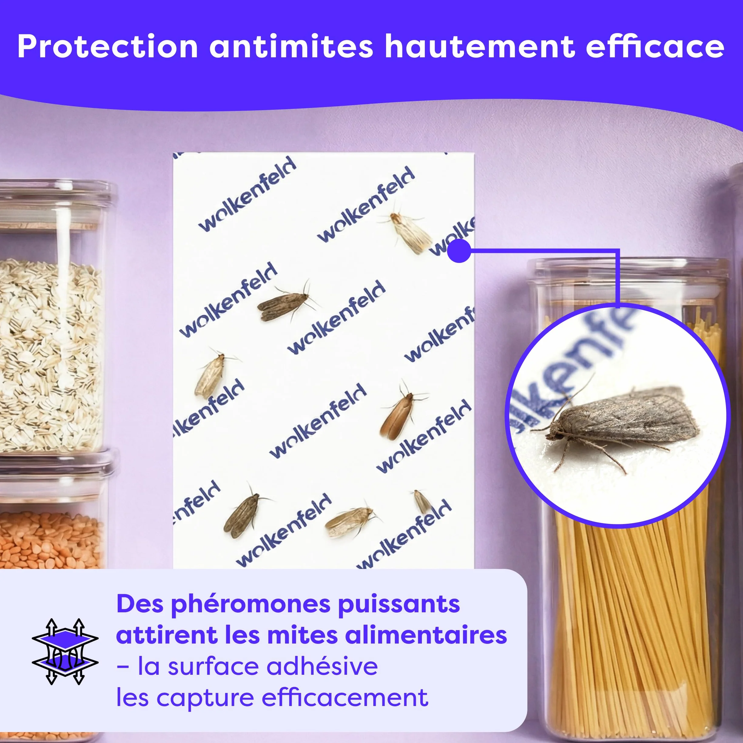 Wolkenfeld Piège à Mites Alimentaires x10 – Anti Mites Alimentaires Phéromone – 10 Pièges – Made in Germany