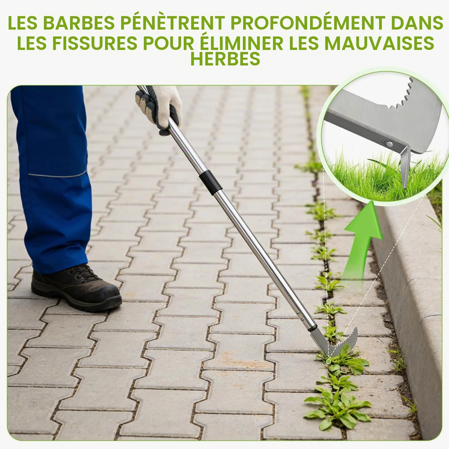 Outil de Désherbage avec Long Manche, 60-160 cm Désherbeur à Manche Long Réglables avec Bord Dentelé, Couteau Désherbeur Manuel en Acier Inoxydable pour Enlever la Mousse et Les Mauvaises Herbes