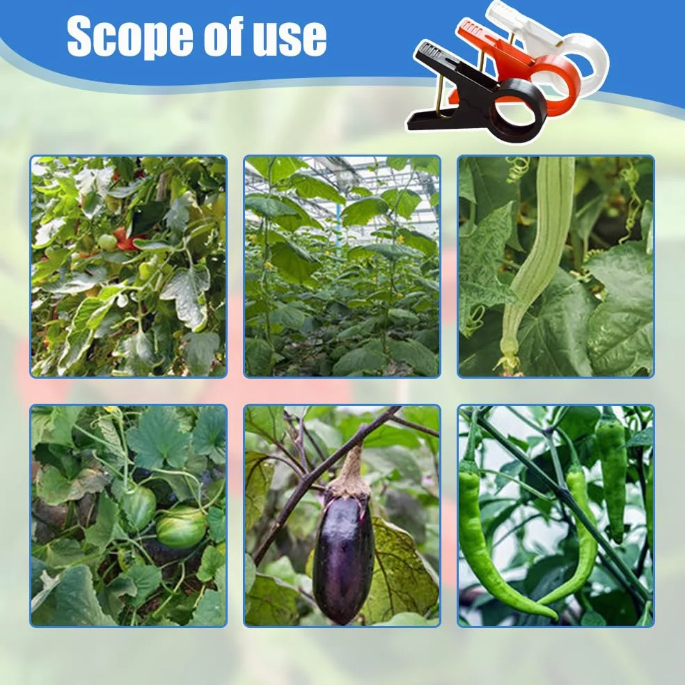 Lot de 30 clips de support de plantes pour treillis, pinces durables pour tomates et légumes du jardin, fixations faciles à utiliser, tailles 18 mm/30 mm